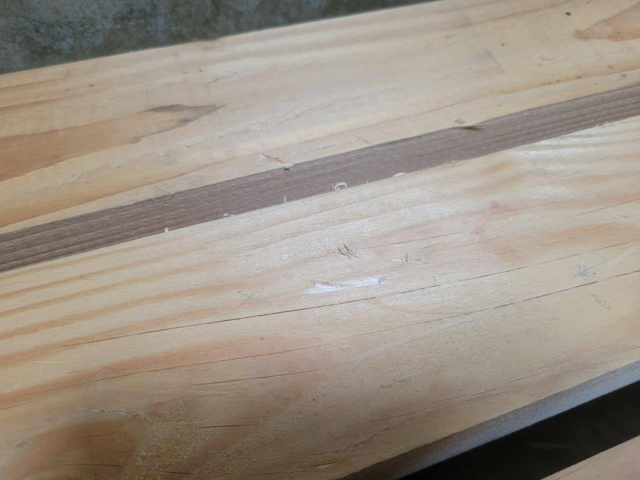 翌日には数か所の爪とぎ痕が確認された