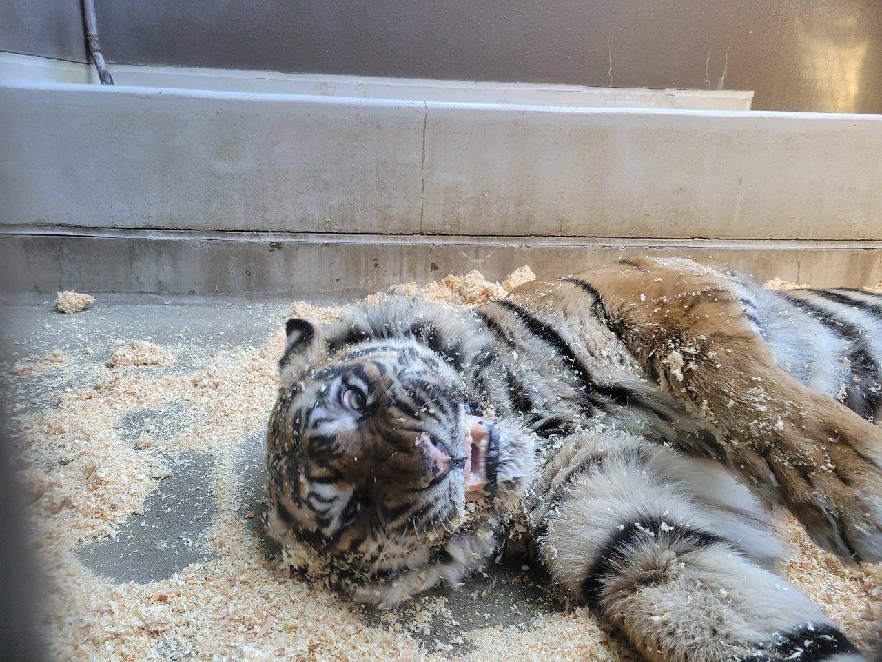 凄い表情になったデル