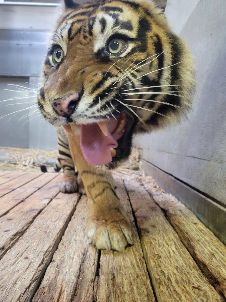 室内でのデル②