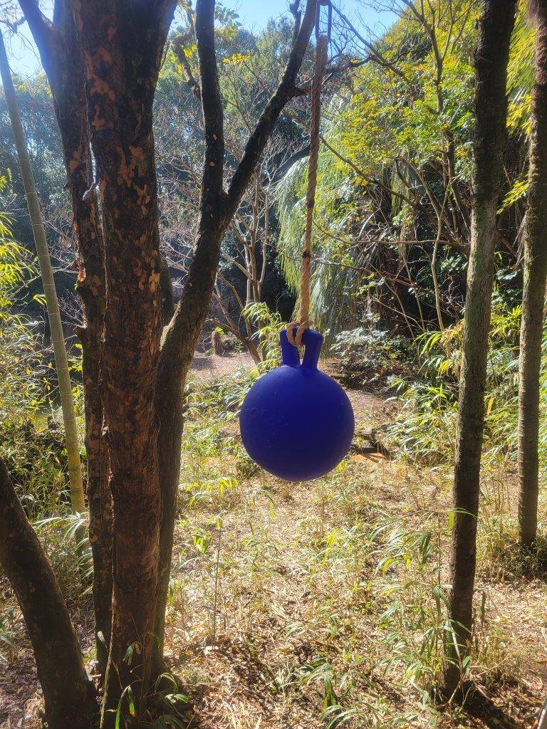 展示場に吊るされたジョリーボール