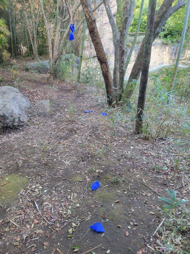 跡形もなくボロボロにされたジョリーボール