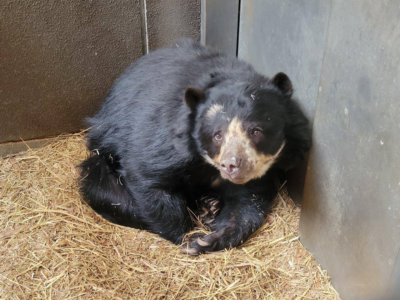 サブ運動場で丸まるミウ