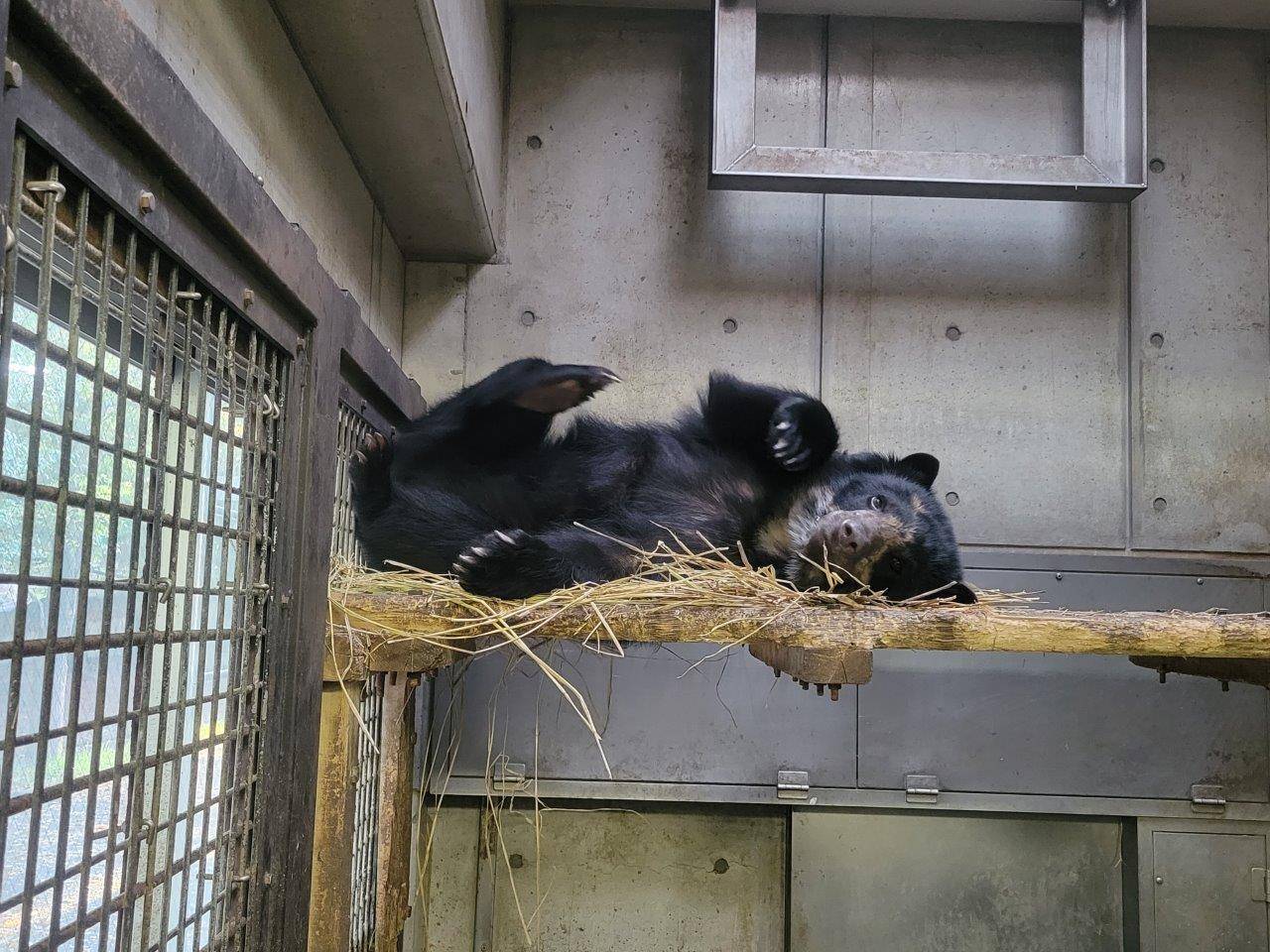 寝台上で休むミユキ