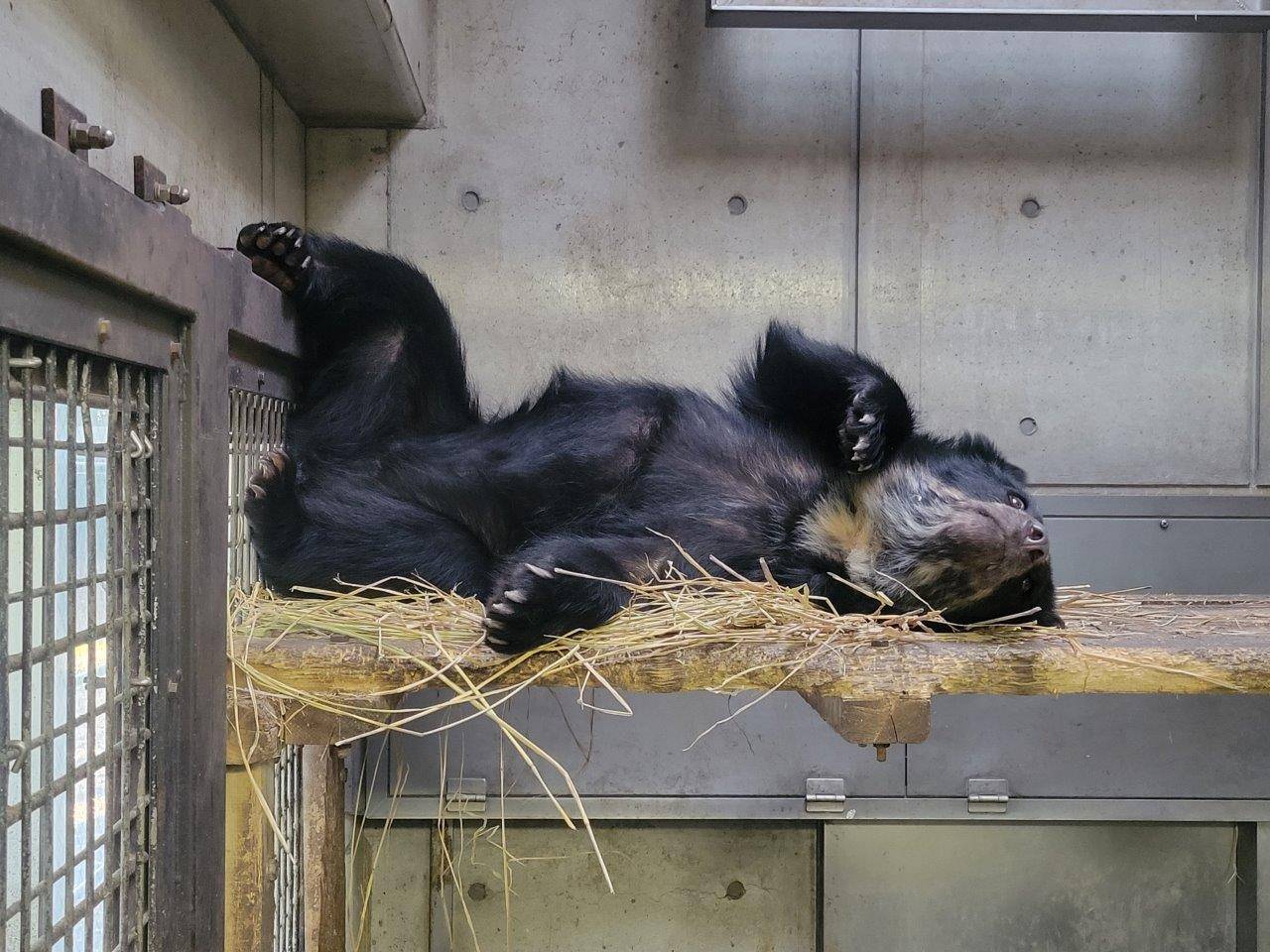 寝室の寝台上で寝転ぶミユキ