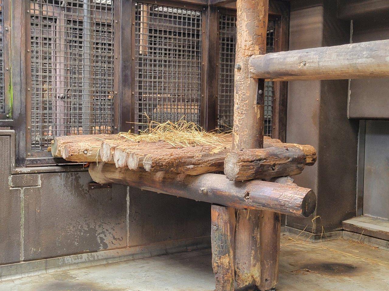 ミユキが寝室から藁を運んだ痕