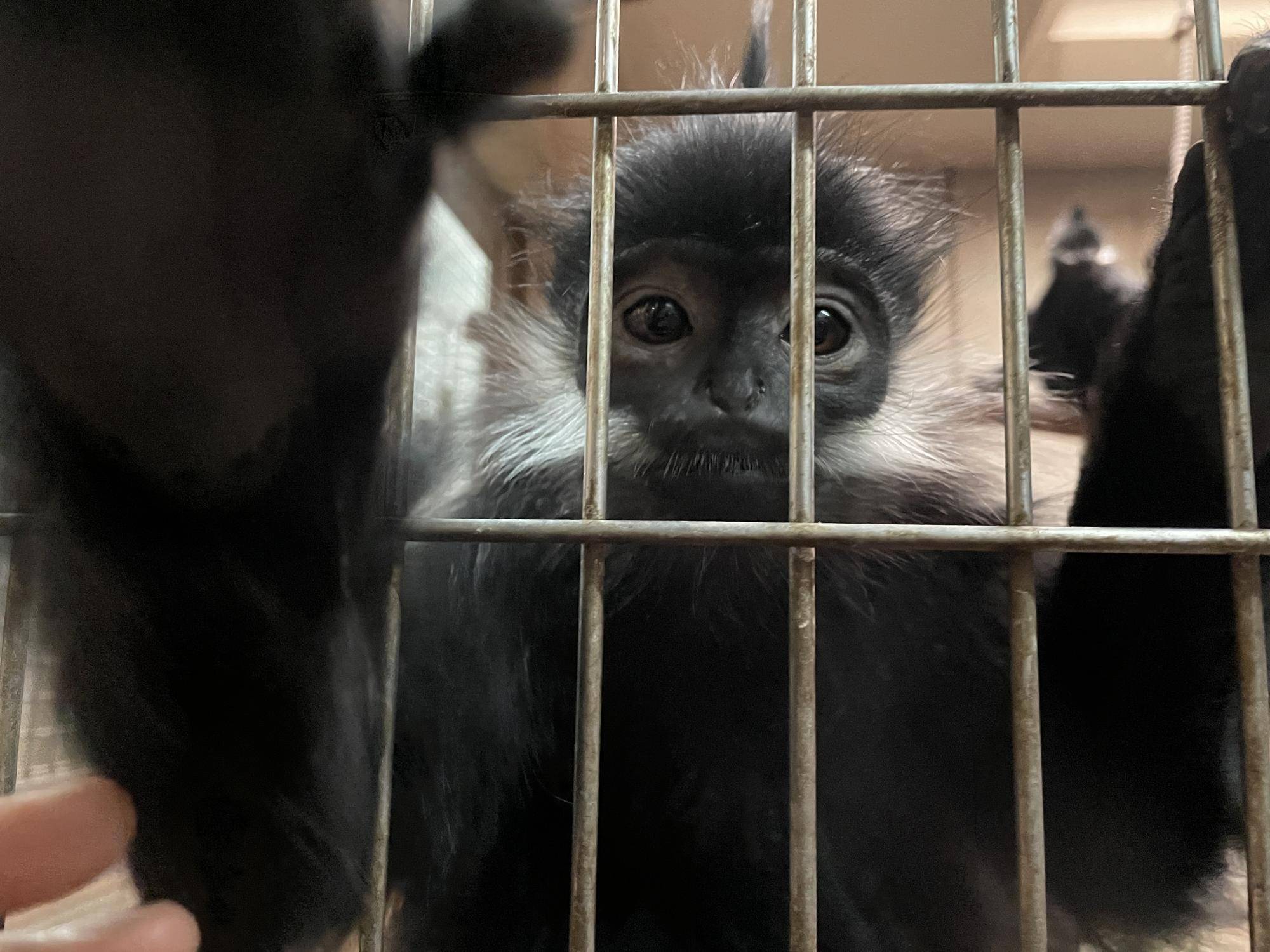 【飼育日誌】20230107：2023ブログ初め (14).jpg