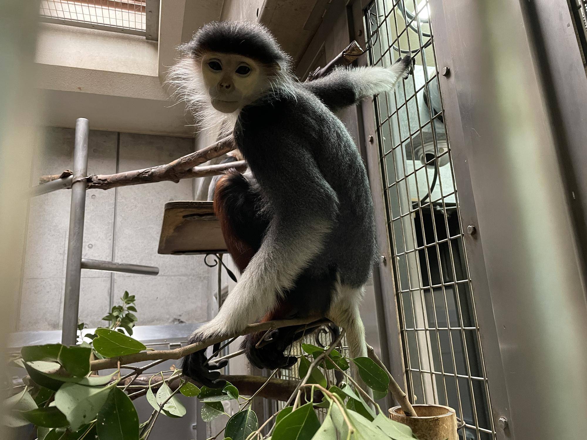 【飼育日誌】20230107：2023ブログ初め (6).jpg