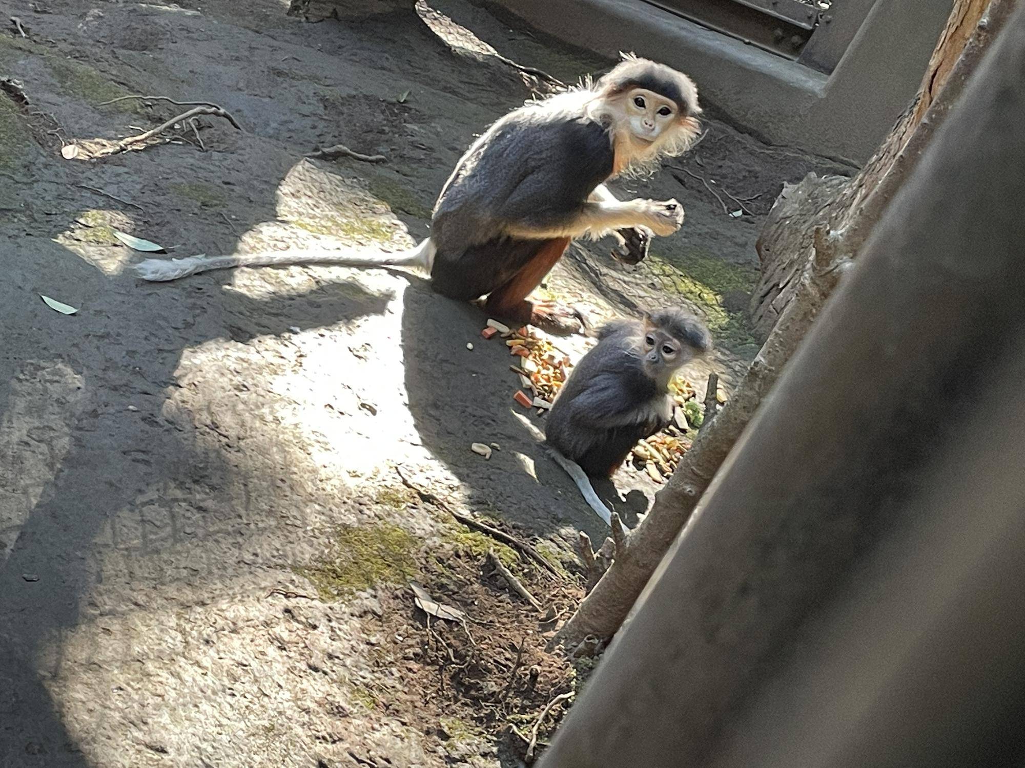 【飼育日誌】20230107：2023ブログ初め (2).jpg