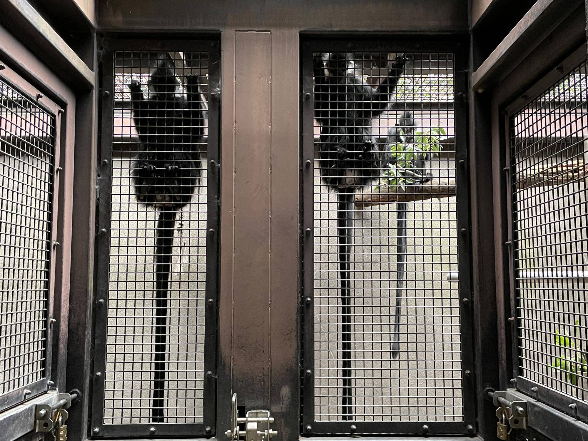 【飼育日誌】20230107：2023ブログ初め (12).jpg