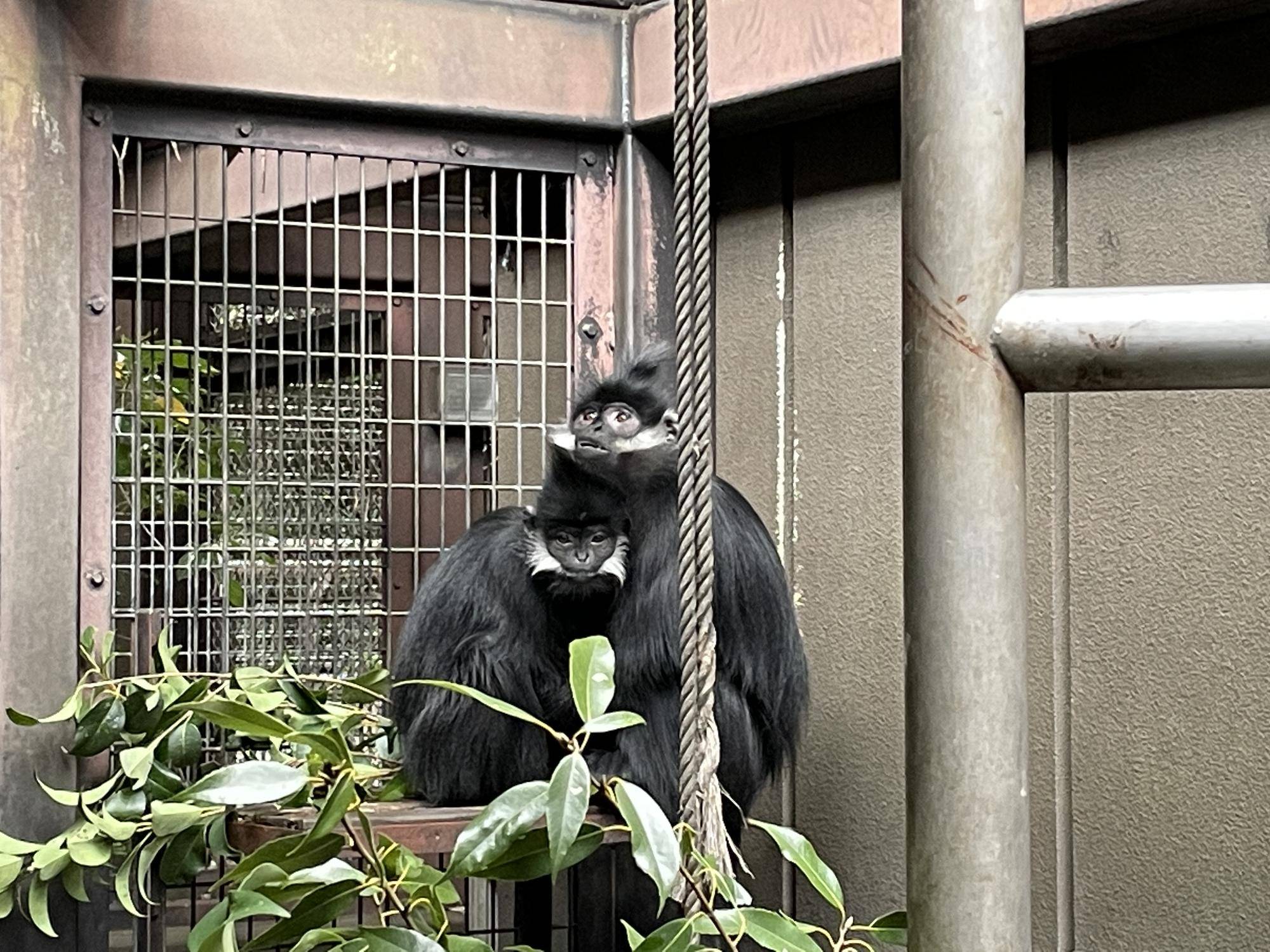 【飼育日誌】20230107：2023ブログ初め (10).jpg