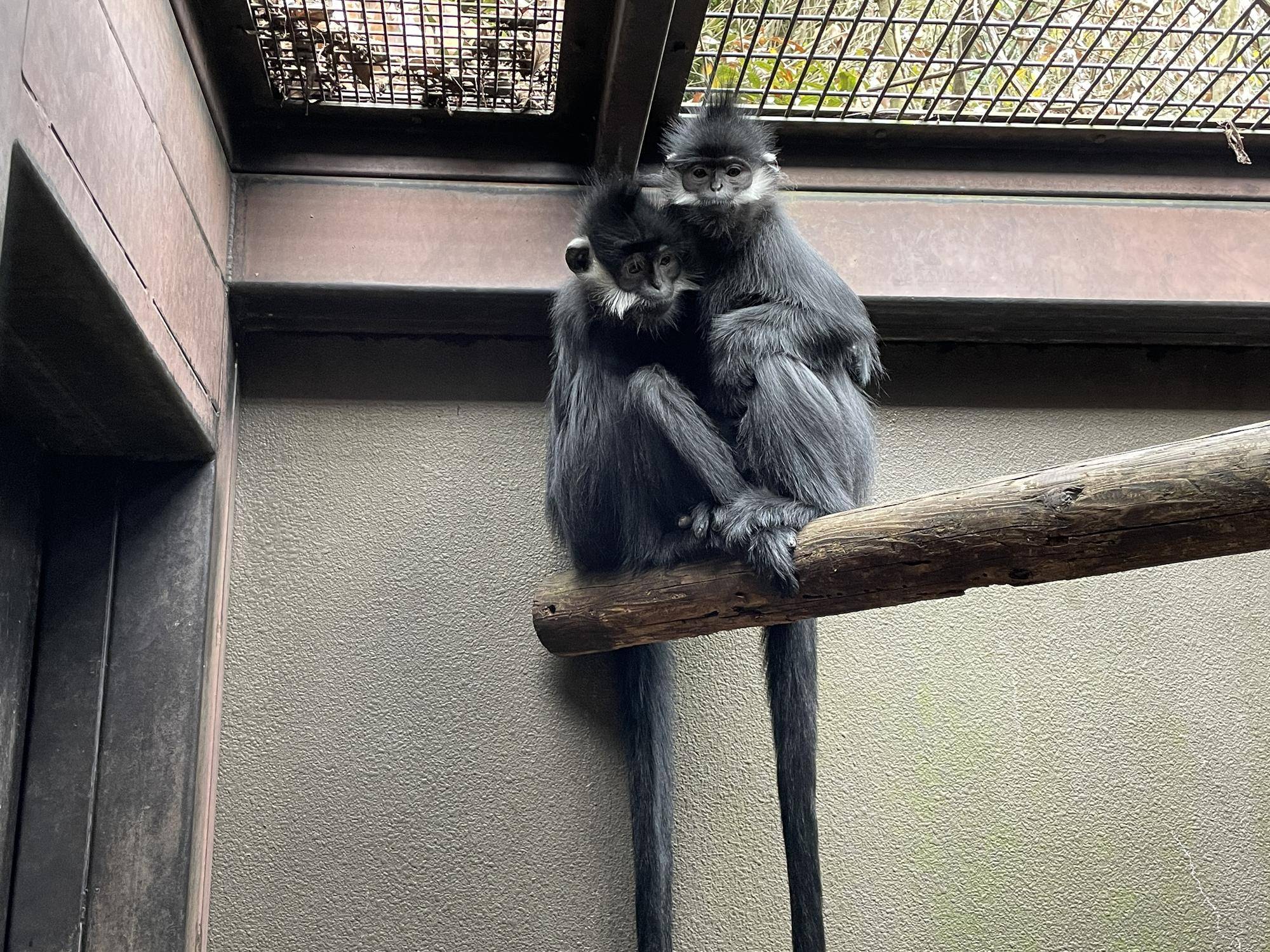 【飼育日誌】20230107：2023ブログ初め (11).jpg