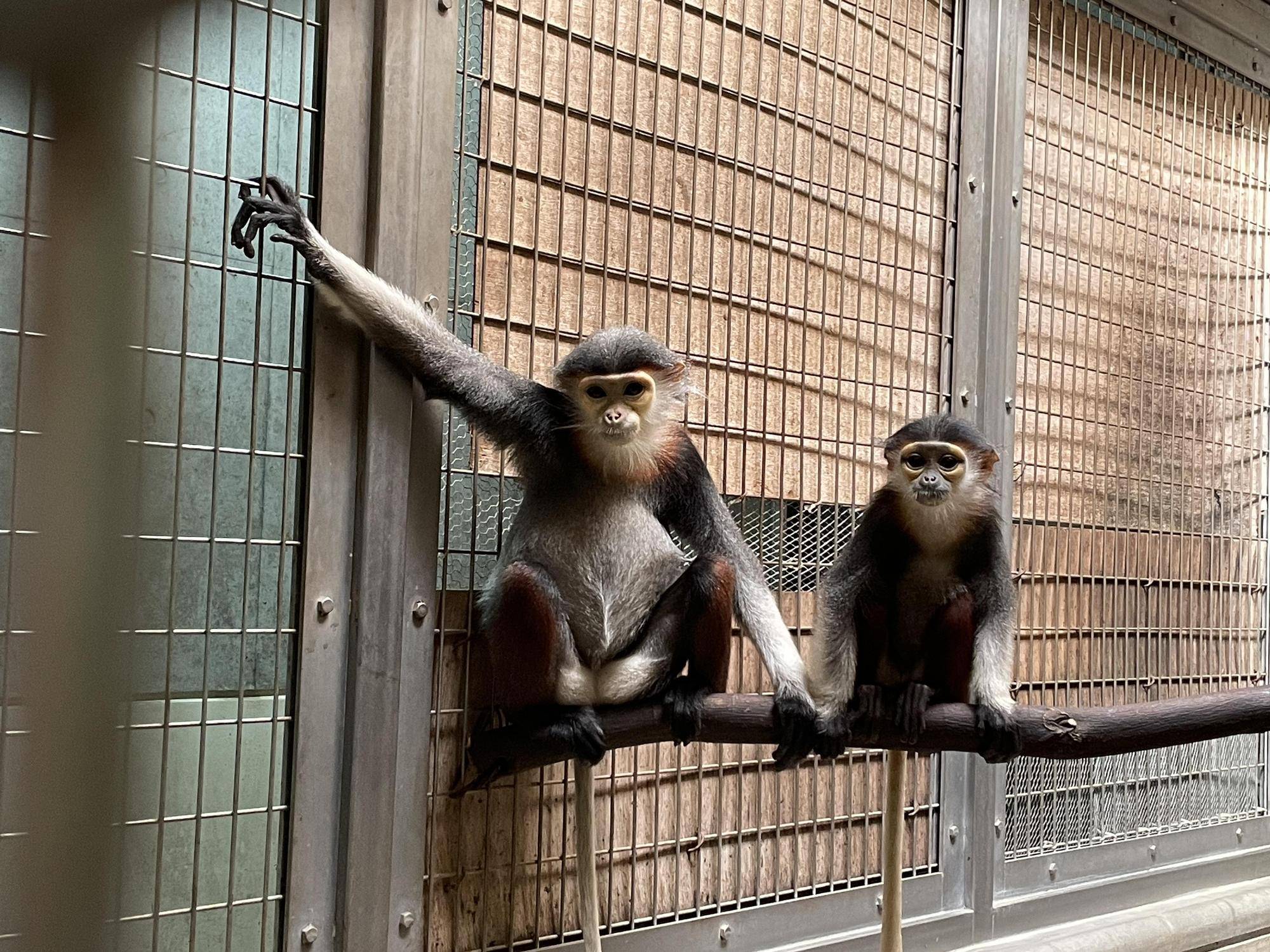 【飼育日誌】20230107：2023ブログ初め (3).jpg