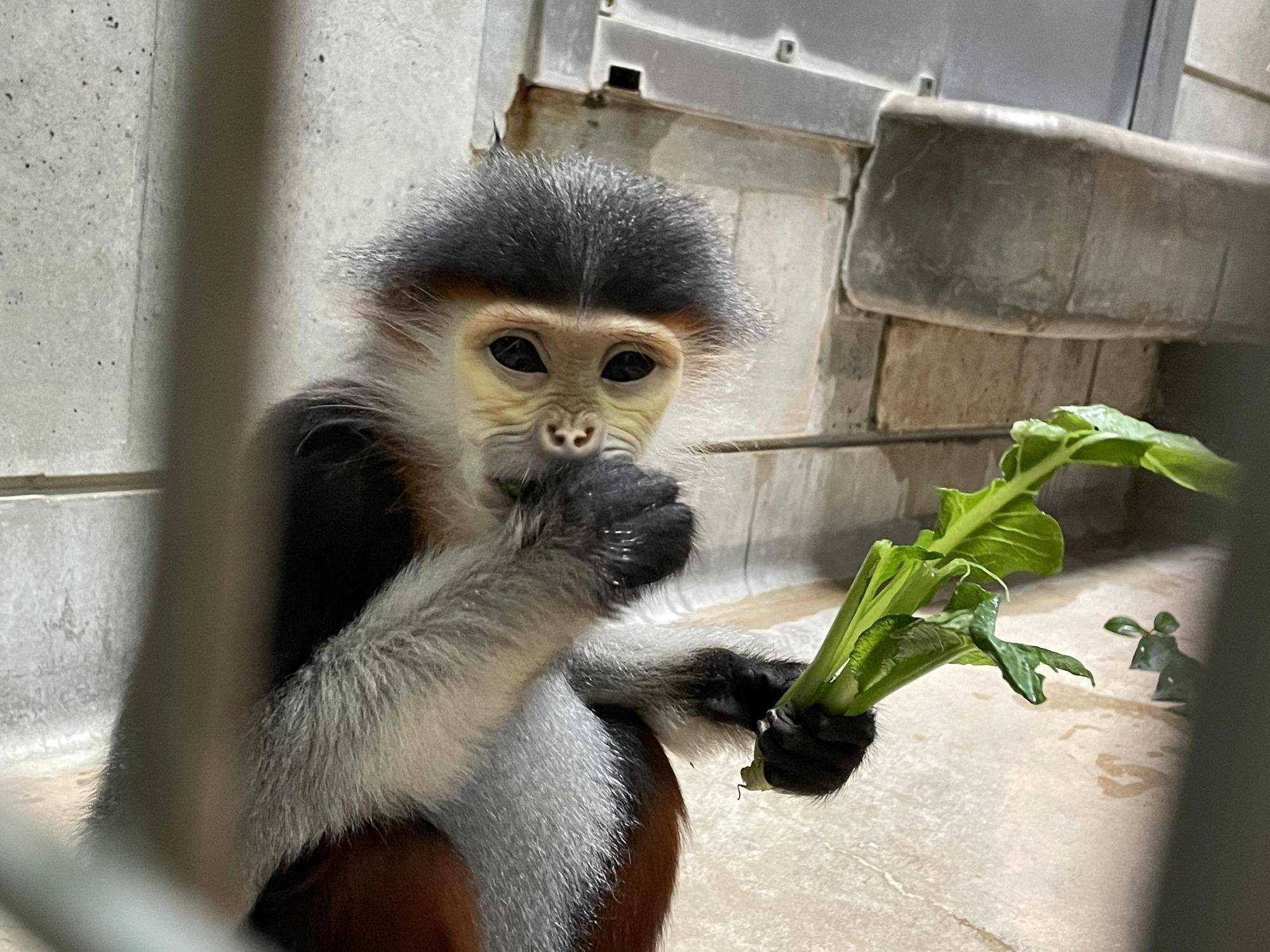 【飼育日誌】20230107：2023ブログ初め (16).jpg