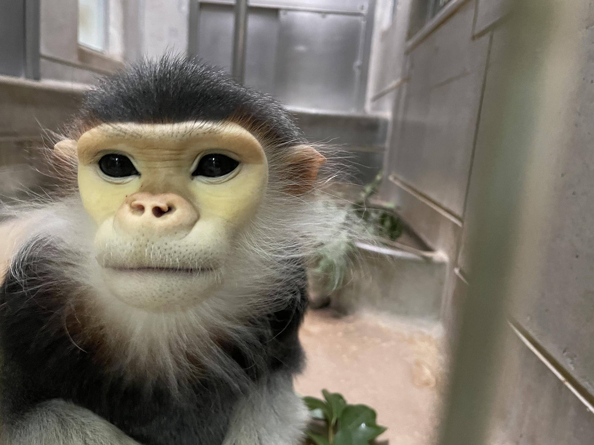 【飼育日誌】20230107：2023ブログ初め (7).jpg