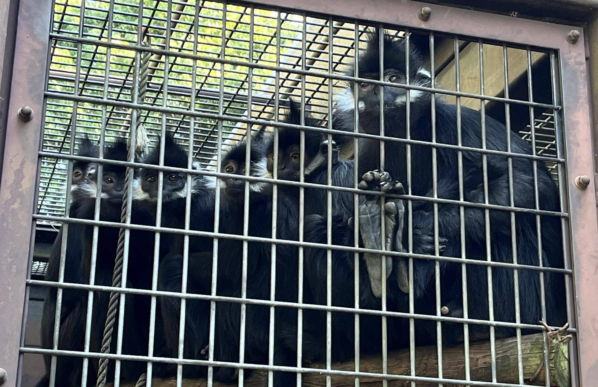 【飼育日誌】20230107：2023ブログ初め (9).jpg