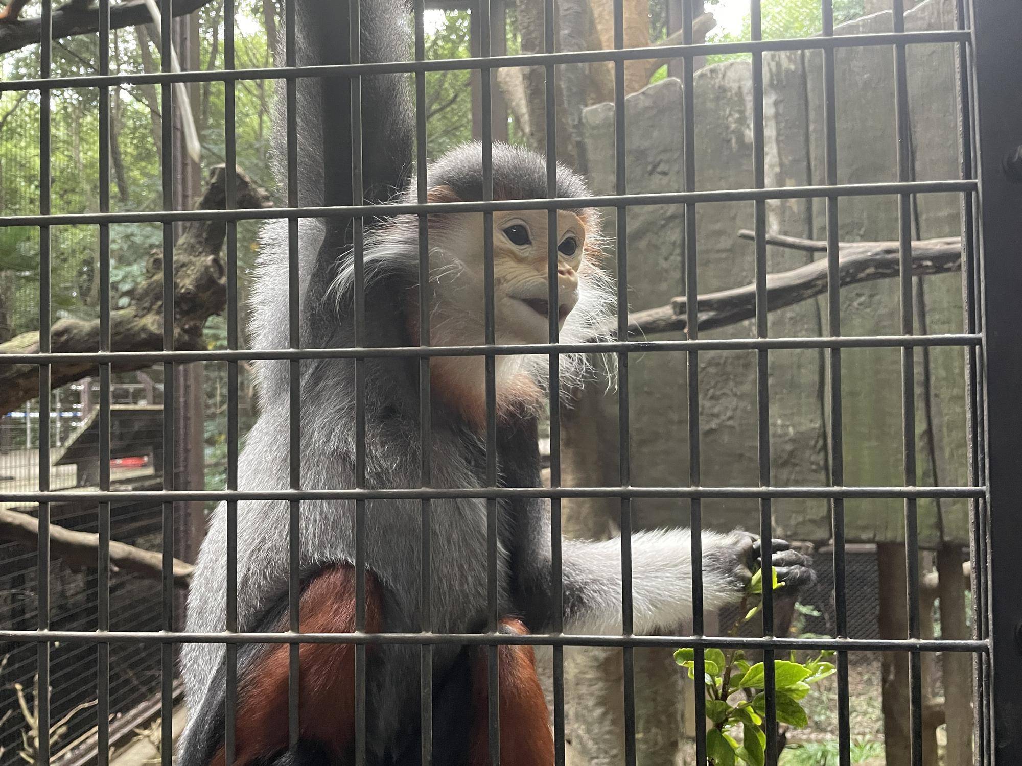 【飼育日誌】20230120:美しさ2倍ハイビスカス (23).jpg