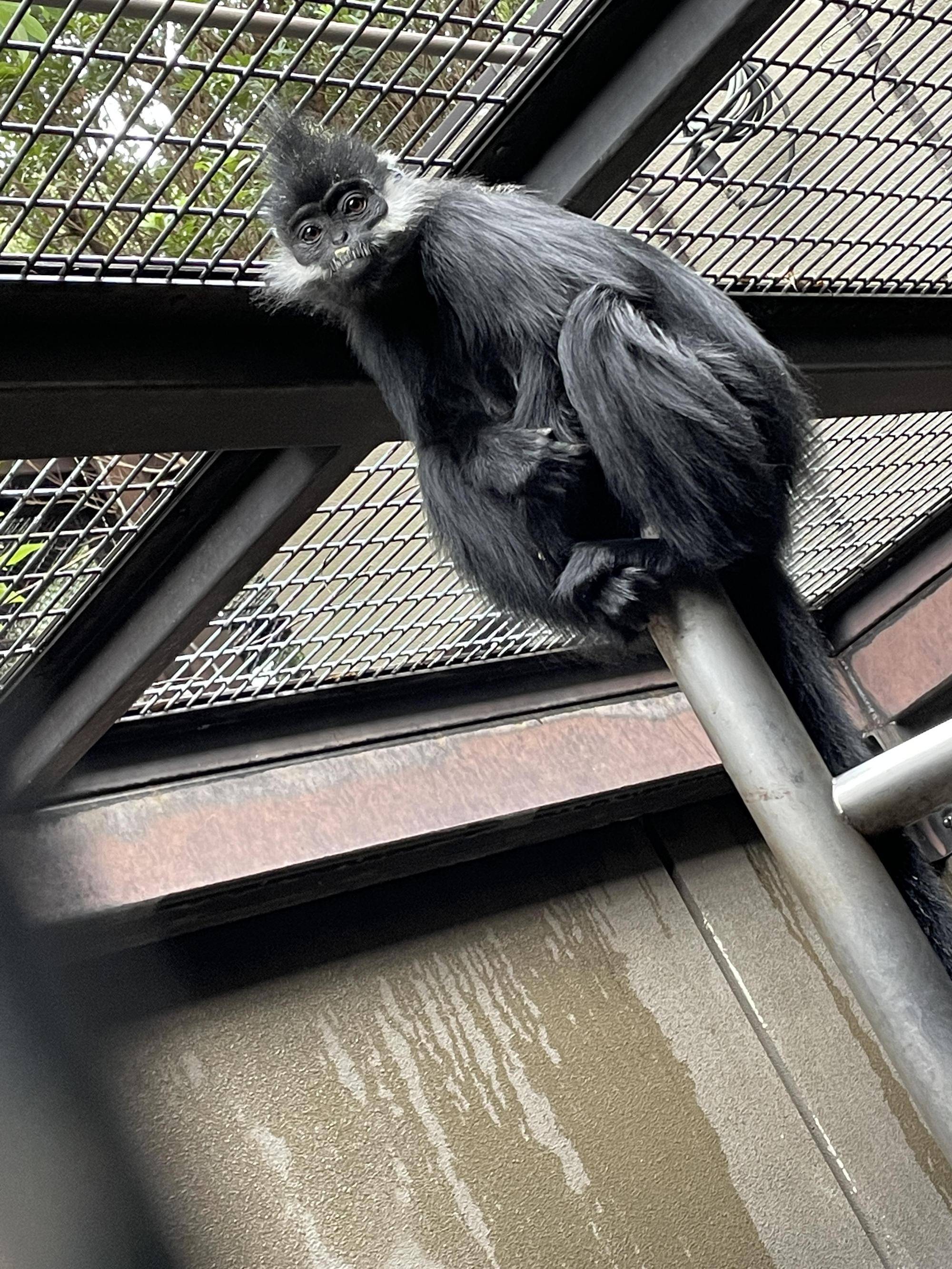 【飼育日誌】20230107：2023ブログ初め (17).jpg