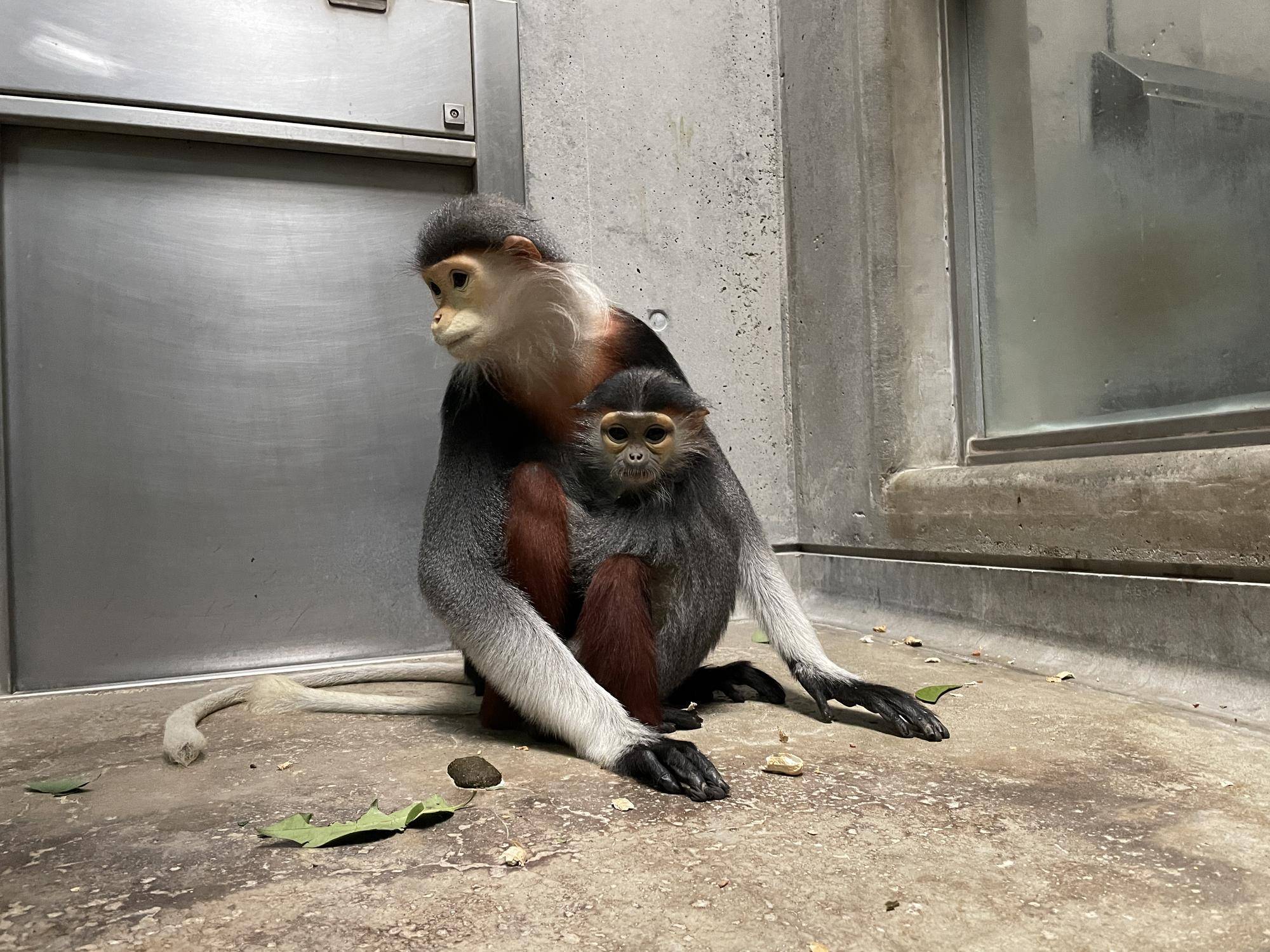 【飼育日誌】20230107：2023ブログ初め (4).jpg