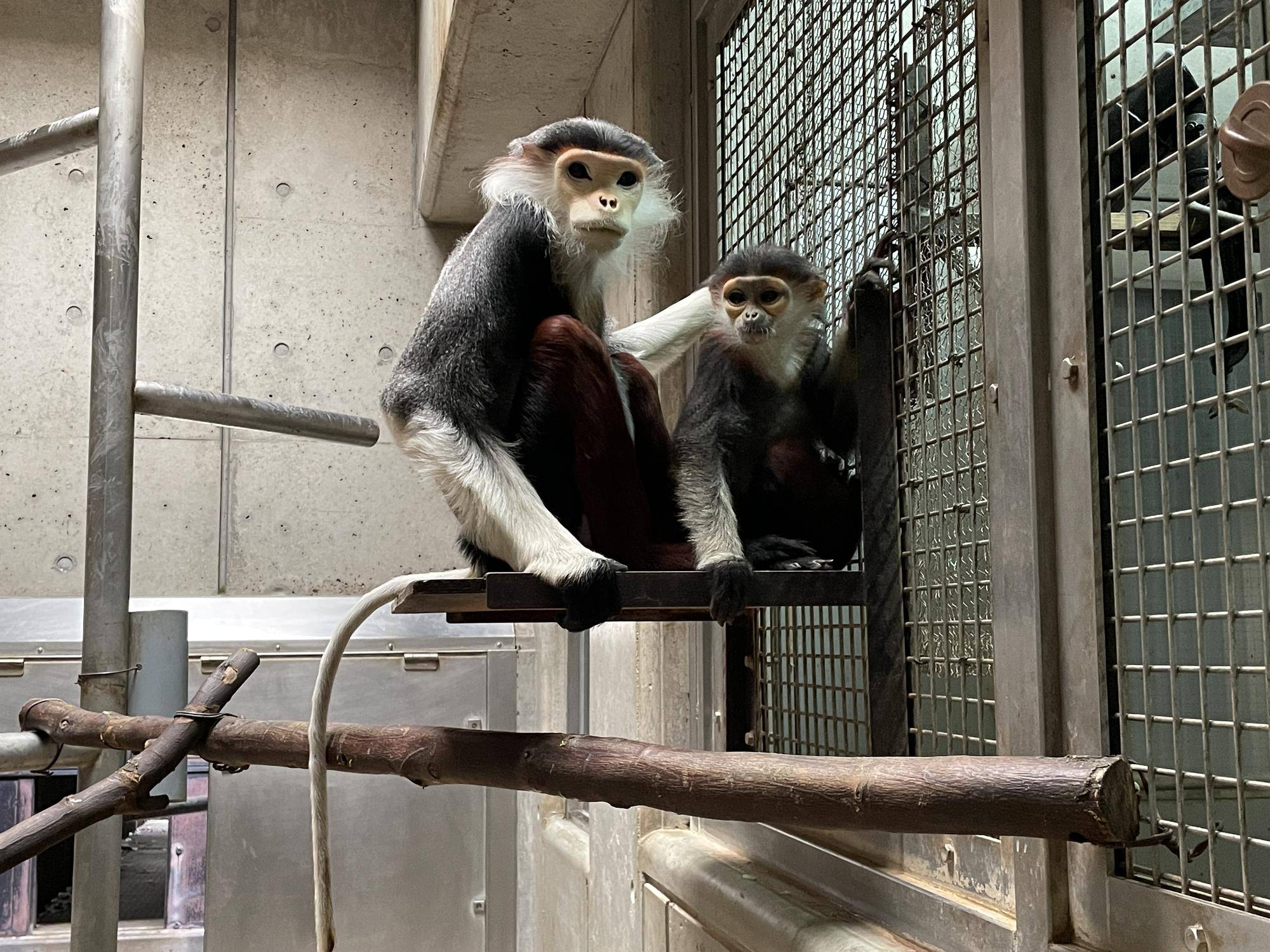 【飼育日誌】20230107：2023ブログ初め (8).jpg