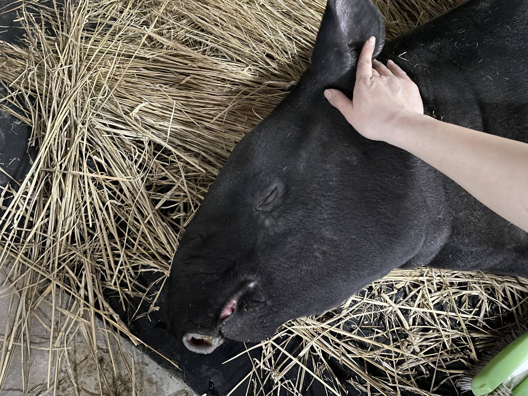 19 気持ちいい.jpg