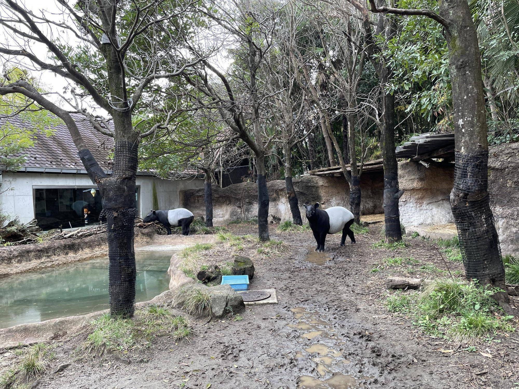 ⑧遠い距離.jpg