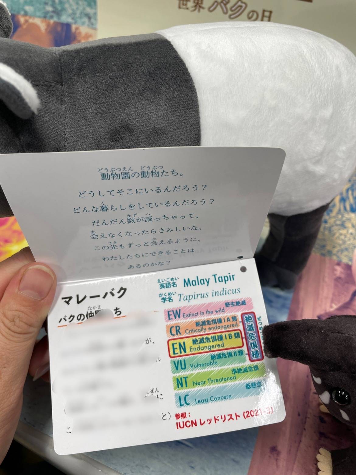 9メッセージ.jpg