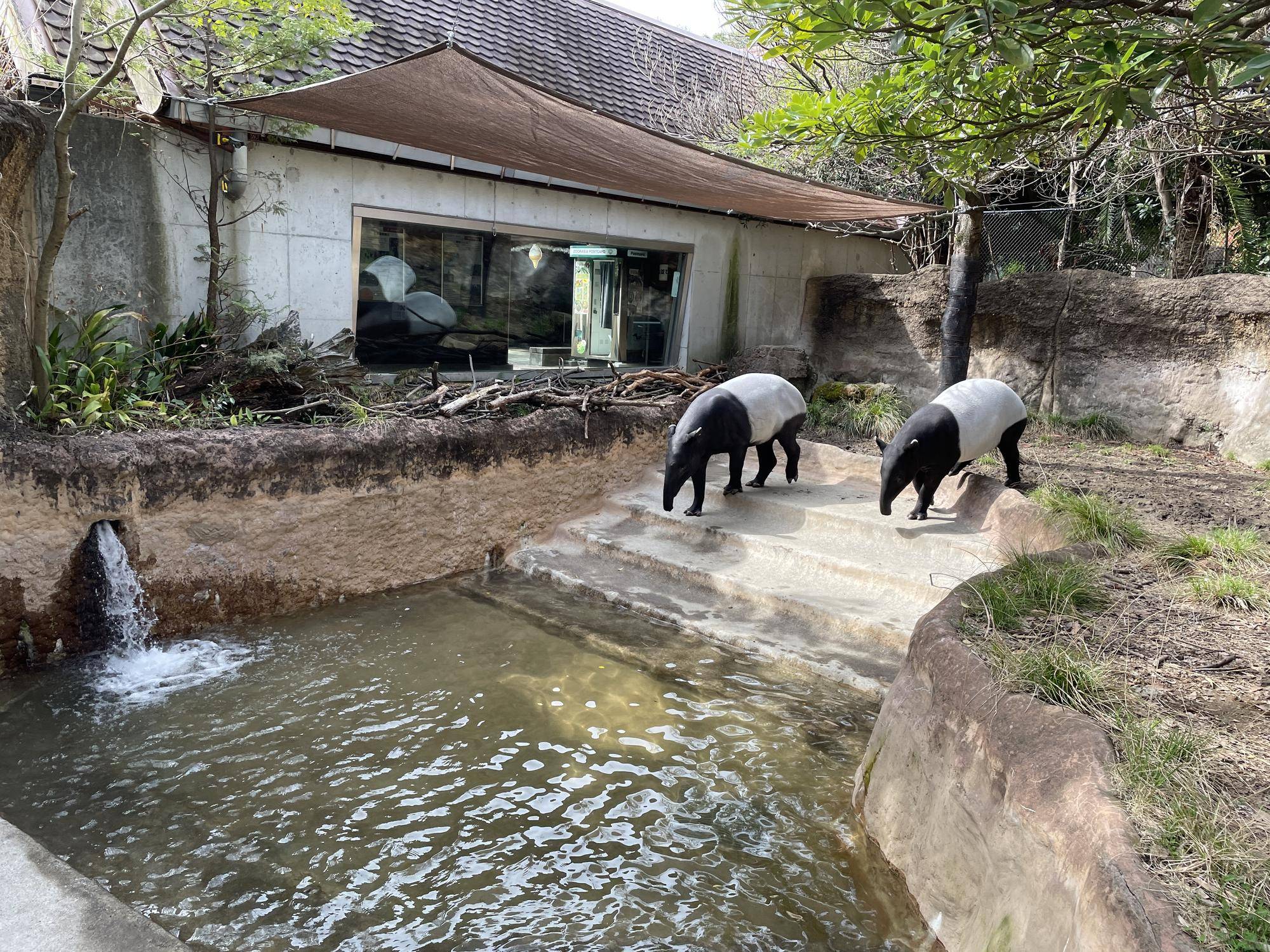 7入水.jpg