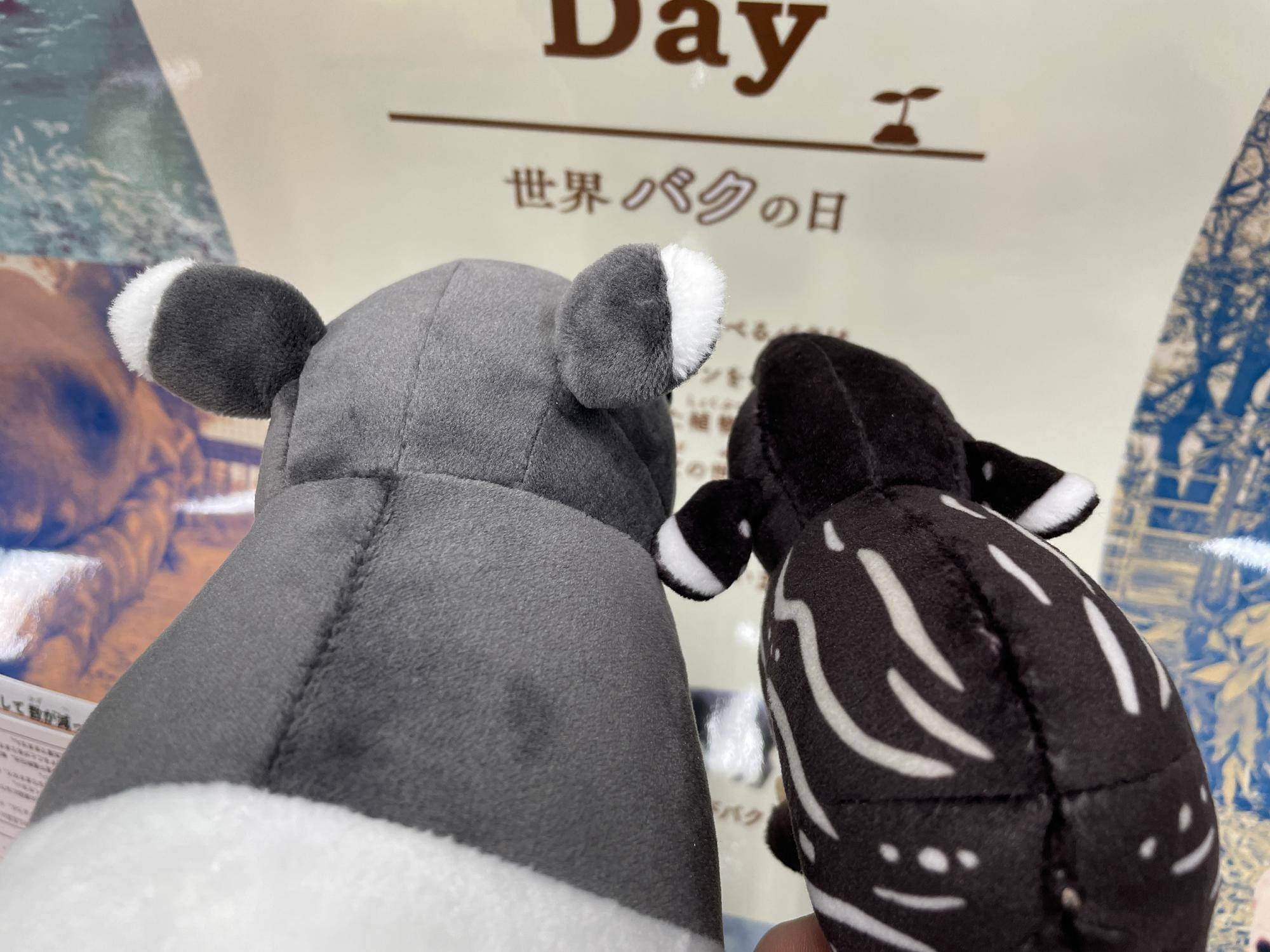 3親子.jpg