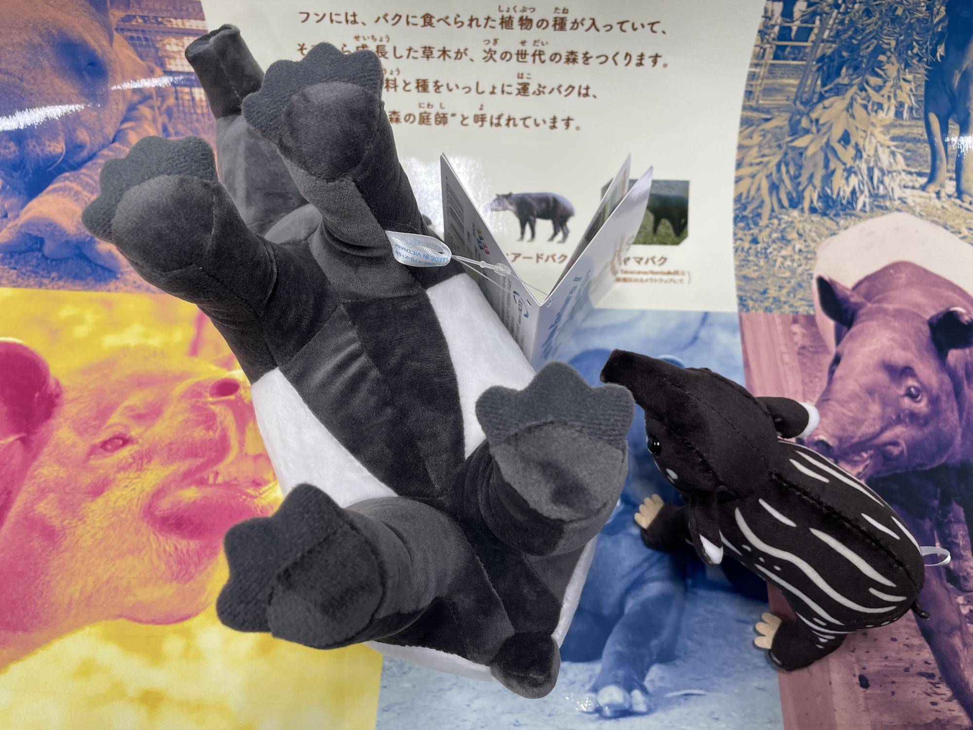 7腹の下黒い.jpg