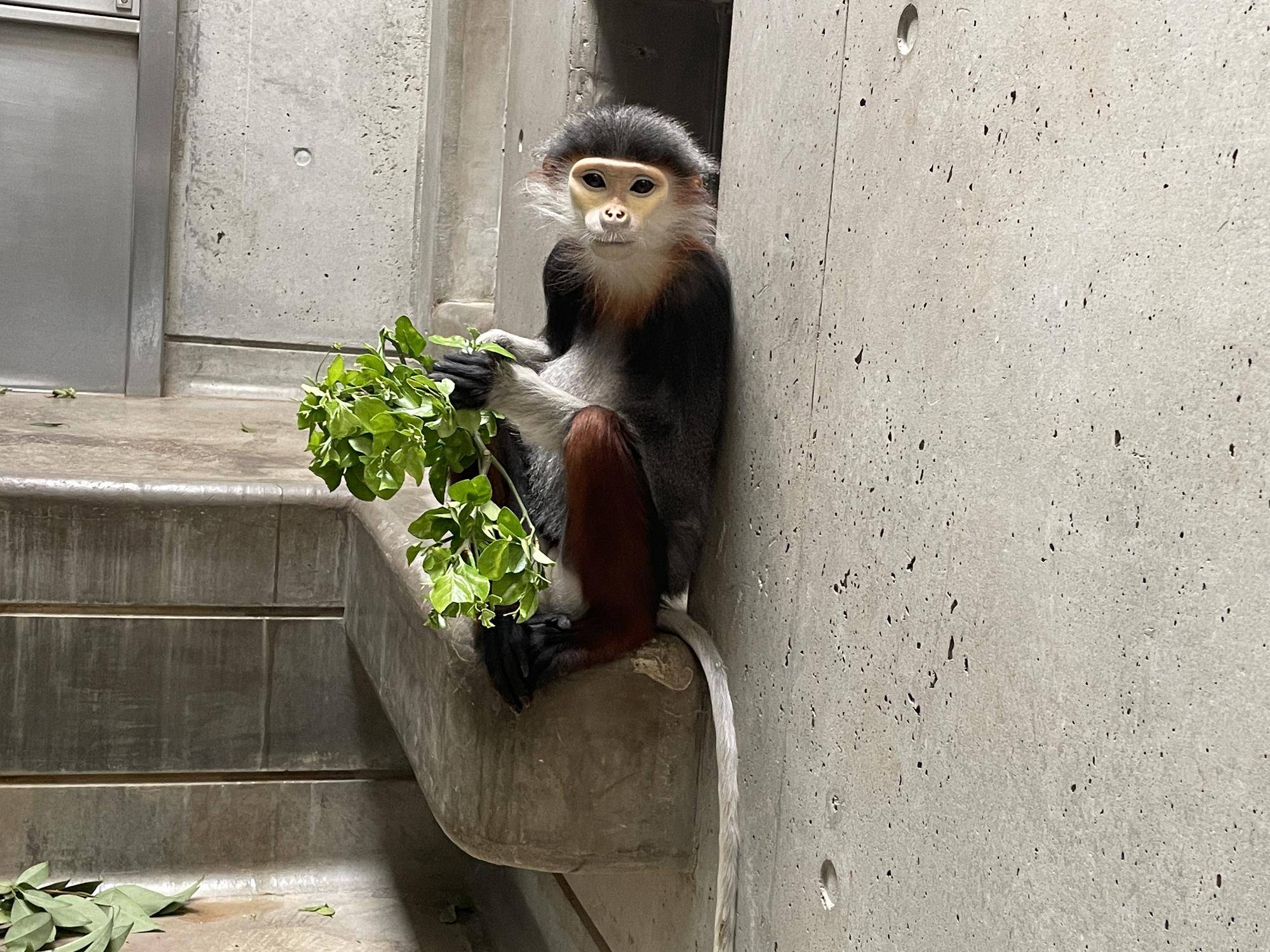 【飼育日誌】20230426:新芽! (16).jpg