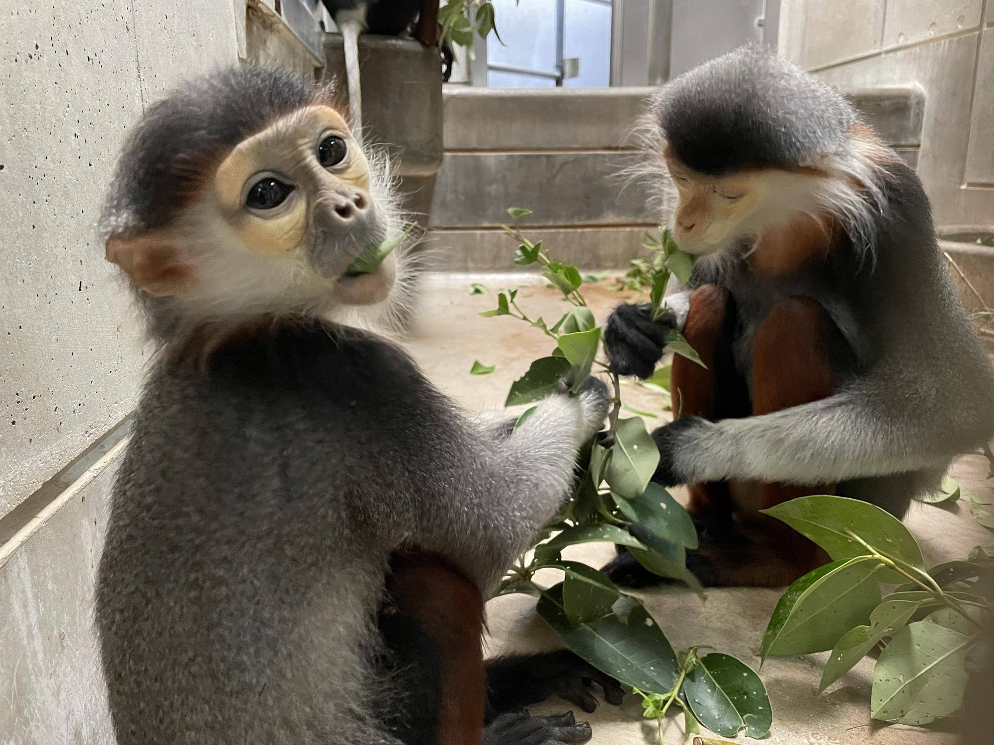 【飼育日誌】20230606：冬の秘策①② (8).jpg