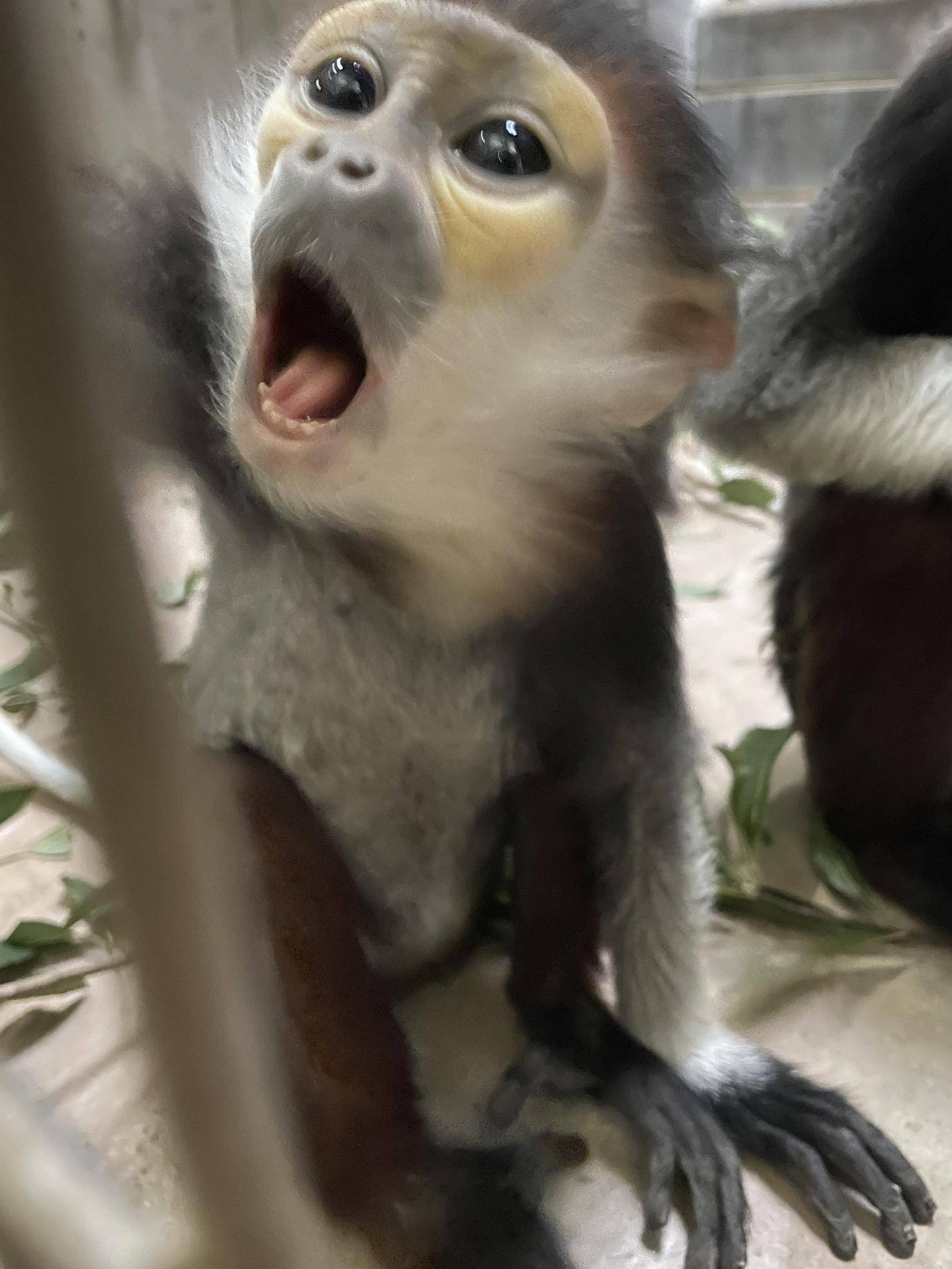 【飼育日誌】20230608：冬の秘策③④ (6).jpg