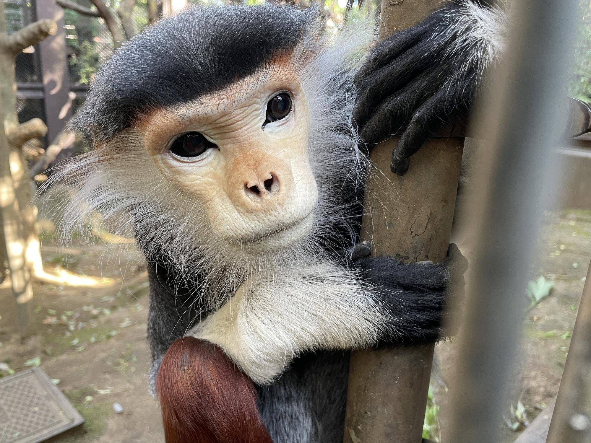 【飼育日誌】20230608：冬の秘策③④ (10).jpg