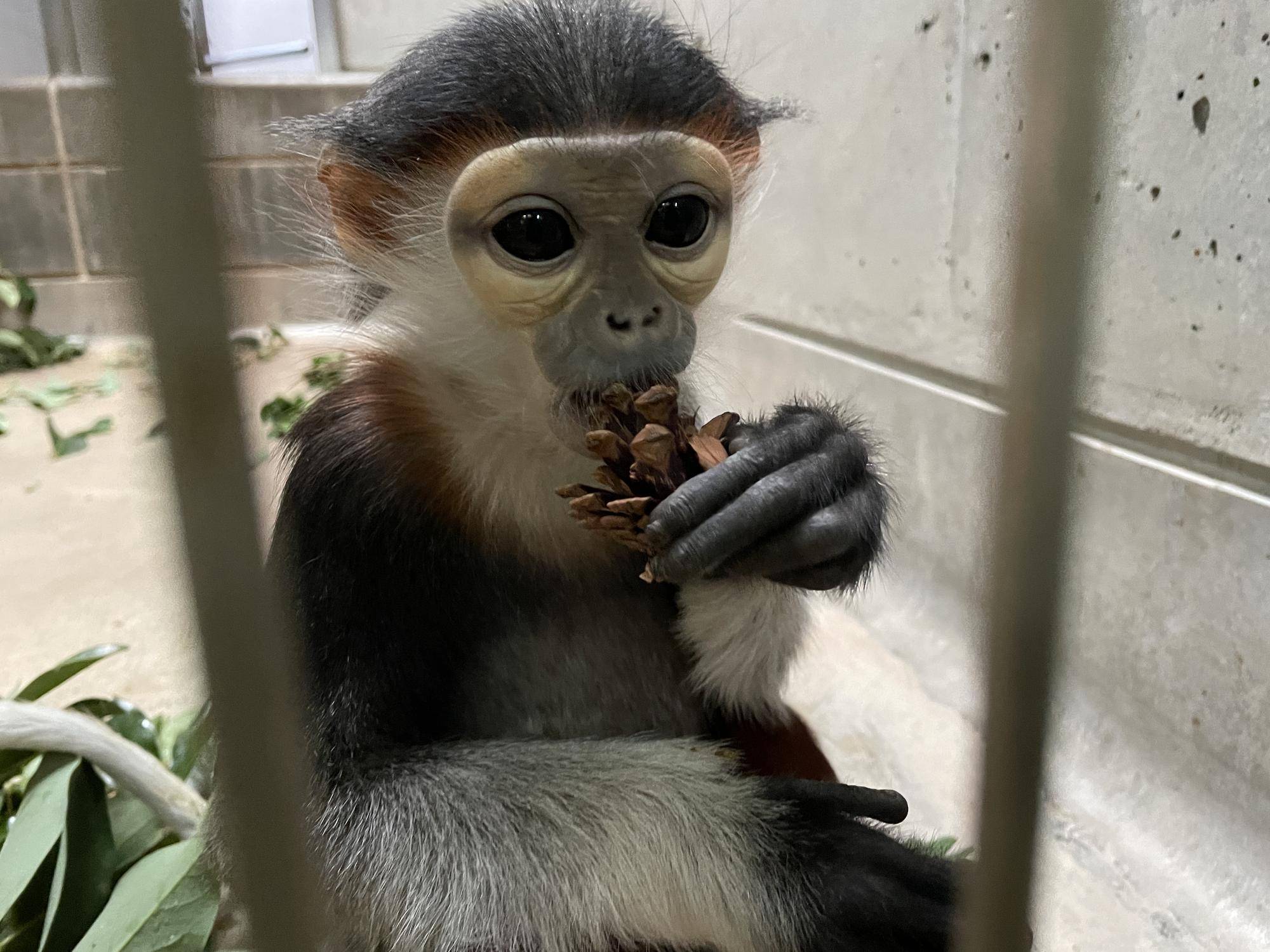 【飼育日誌】20230608：冬の秘策③④ (9).jpg