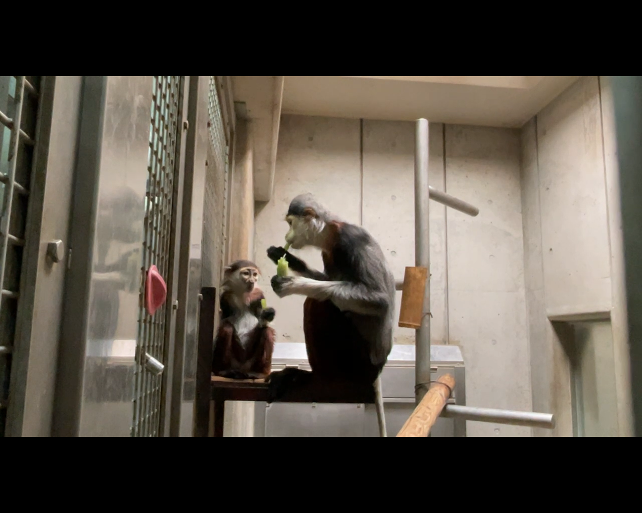 【飼育日誌】20230608：冬の秘策③④ (3).png