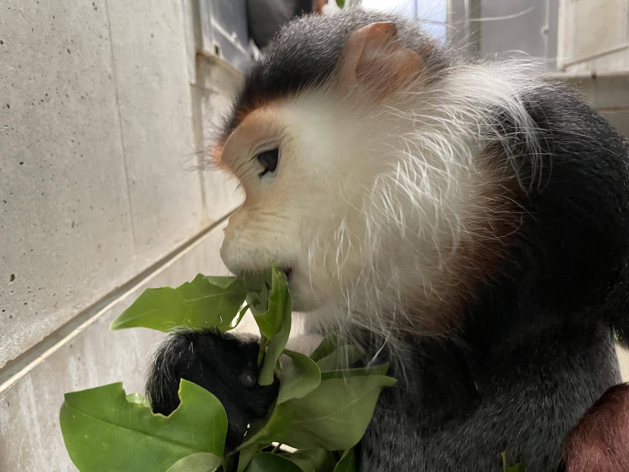 【飼育日誌】20230606：冬の秘策①② (7).jpg