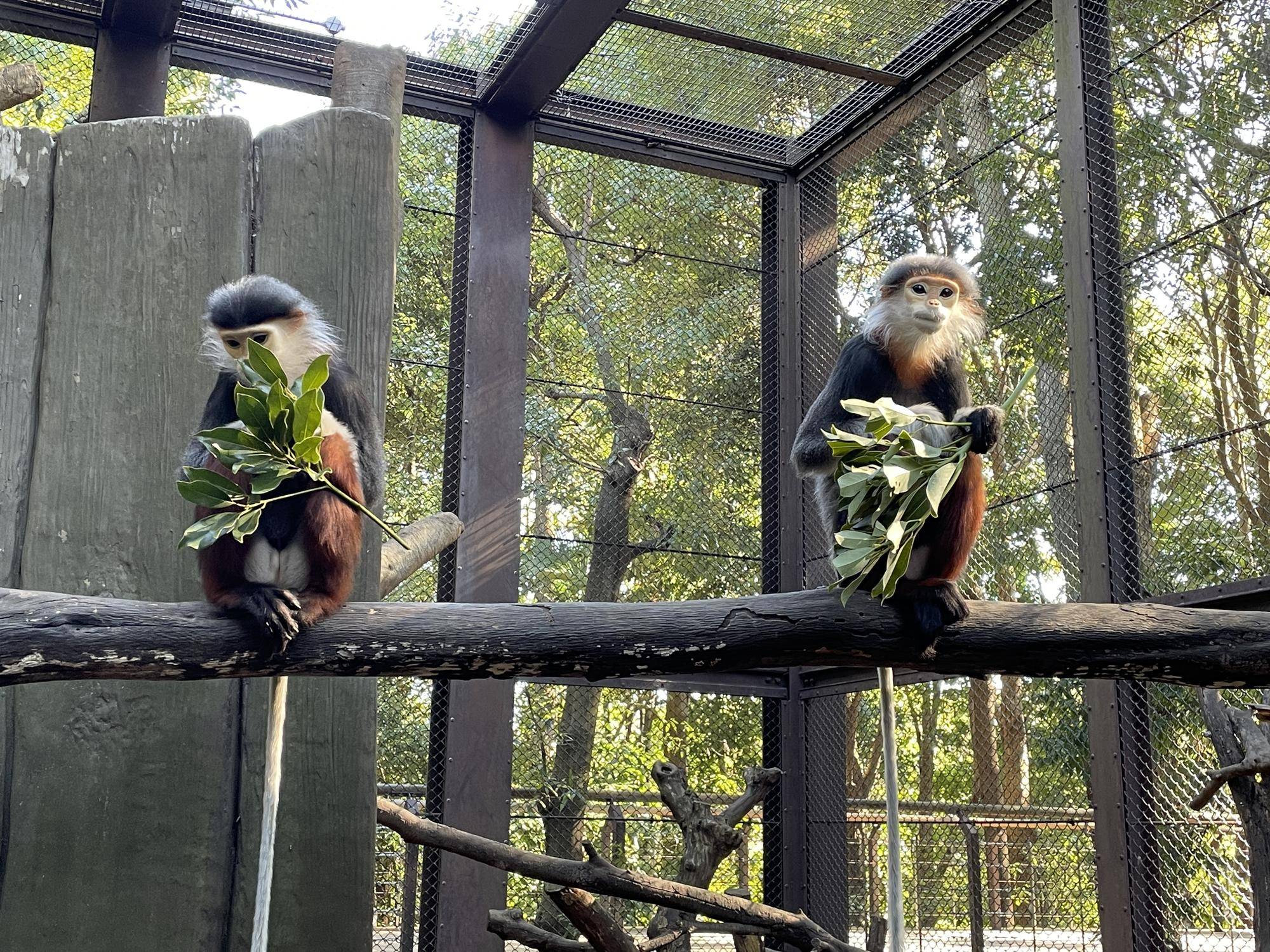 【飼育日誌】20230606：冬の秘策①② (2).jpg