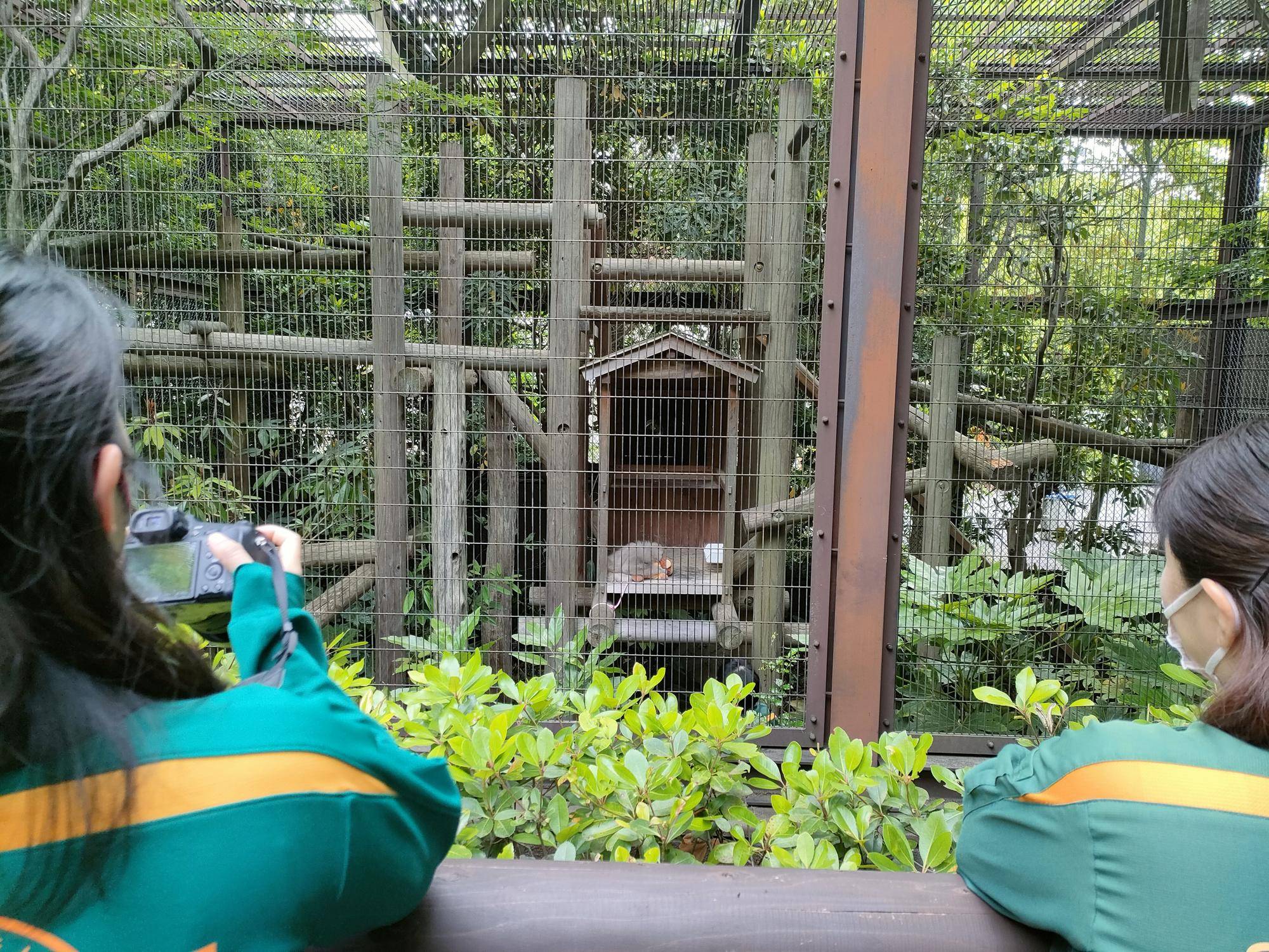 20230610プロイ0.jpg