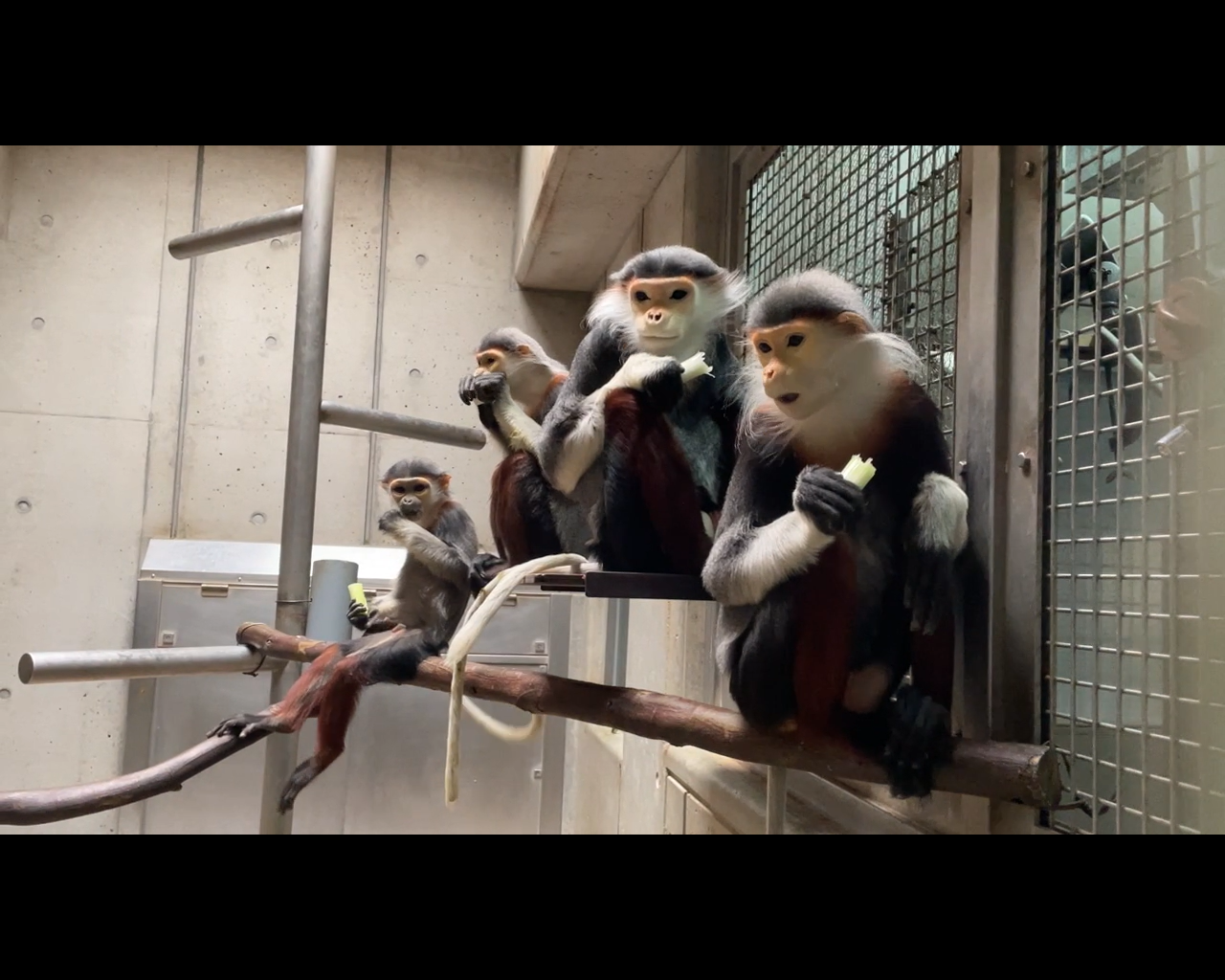 【飼育日誌】20230608：冬の秘策③④ (4).png