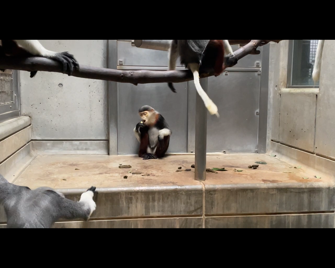 【飼育日誌】20230608：冬の秘策③④ (7).png