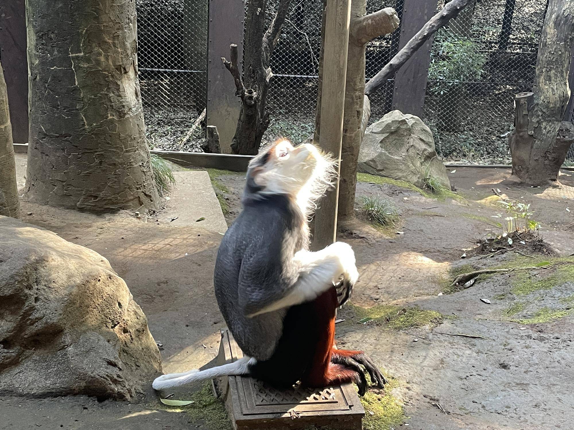 【飼育日誌】20230606：冬の秘策①② (3).jpg