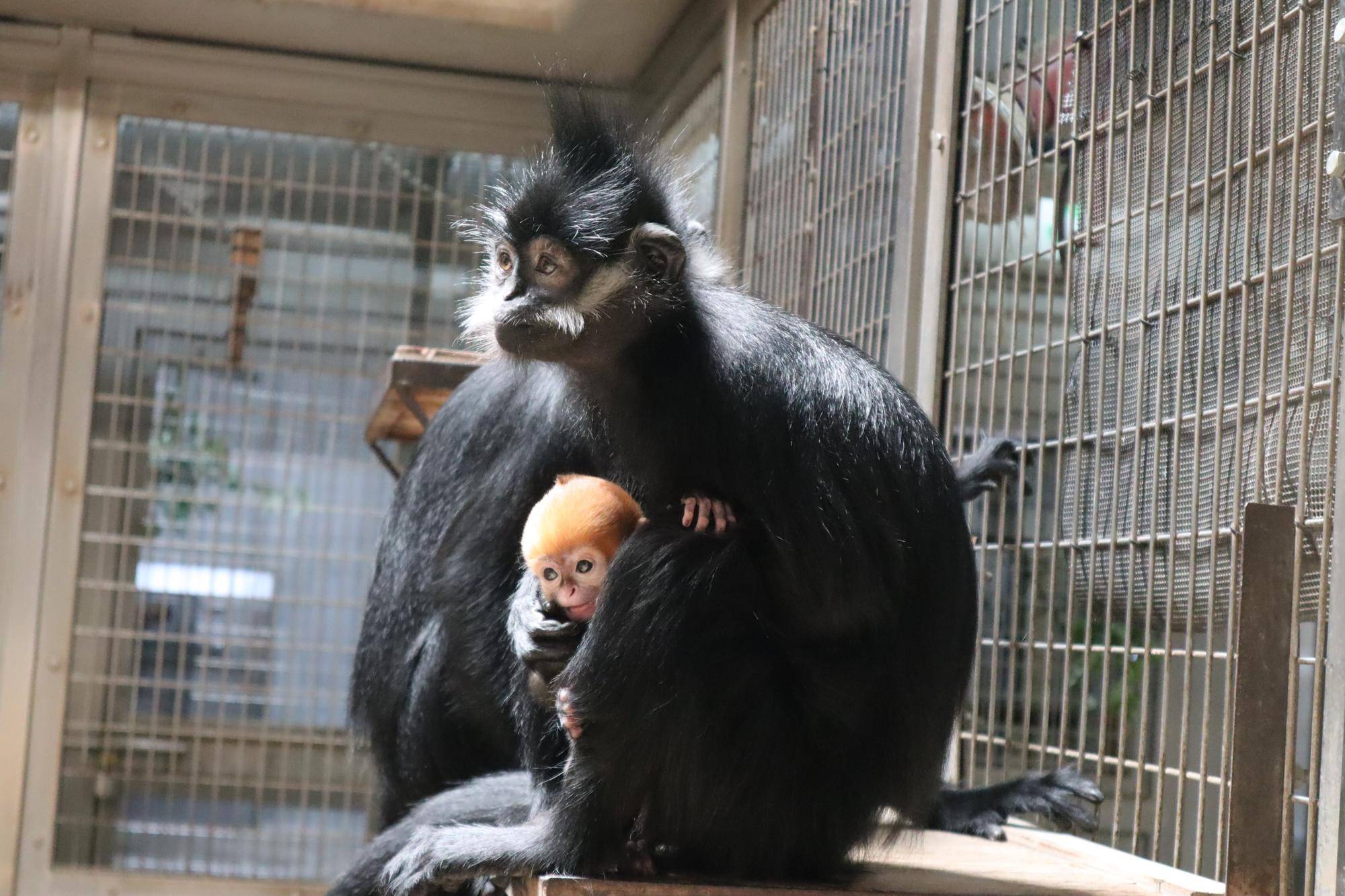 【飼育日誌】20230707:ユズの子通信2愛称 (4).jpg