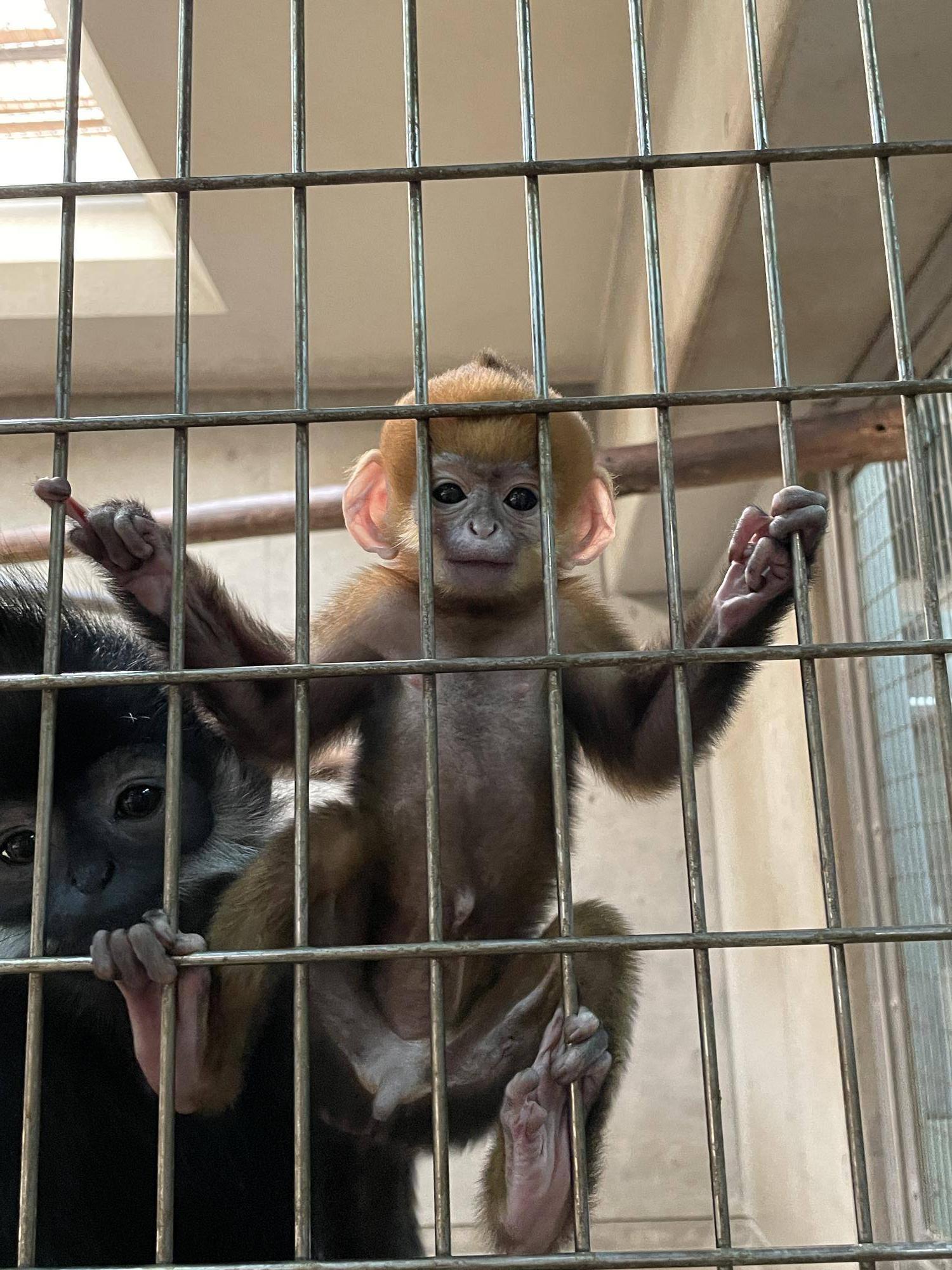 【飼育日誌】20230707:ユズの子通信2愛称 (5).jpg