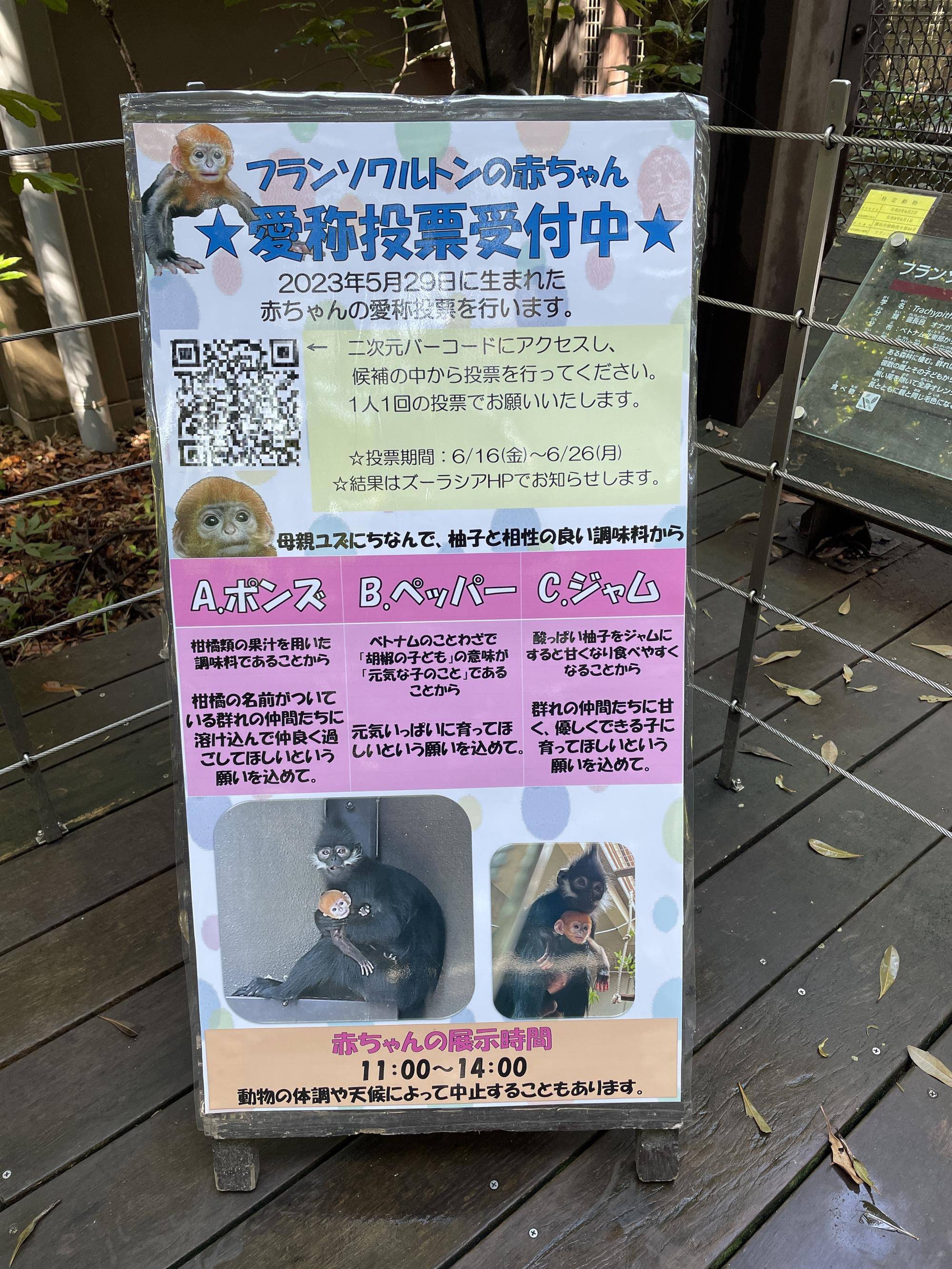 【飼育日誌】20230707:ユズの子通信2愛称 (2).jpg