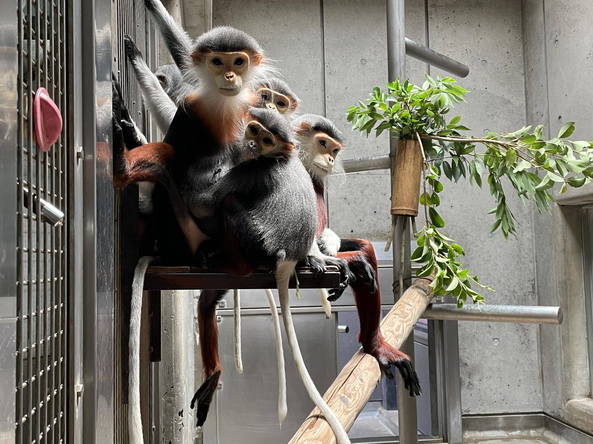 【飼育日誌】20230819:サンありがとう (12).jpg