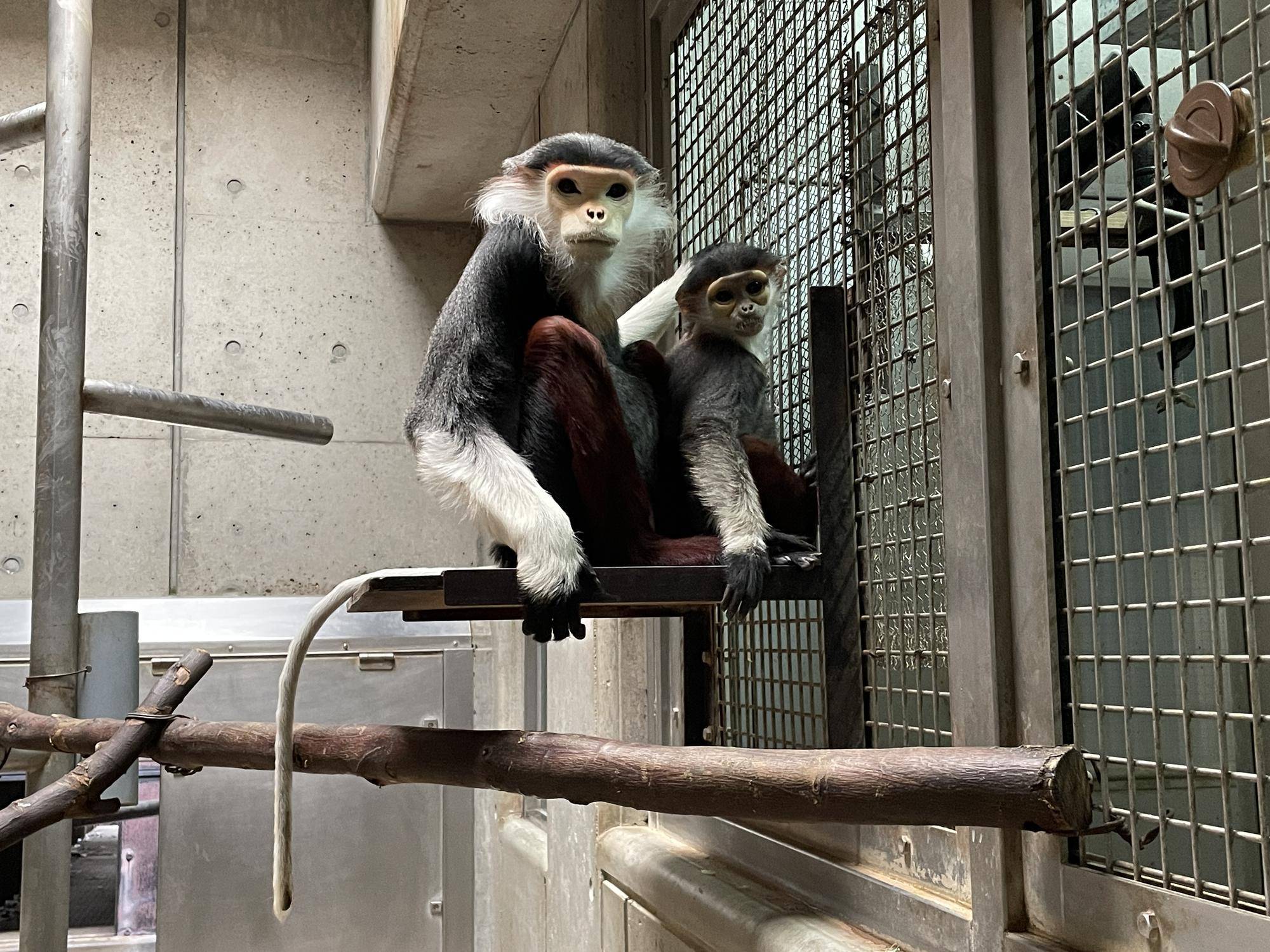 【飼育日誌】20230819:サンありがとう (22).jpg