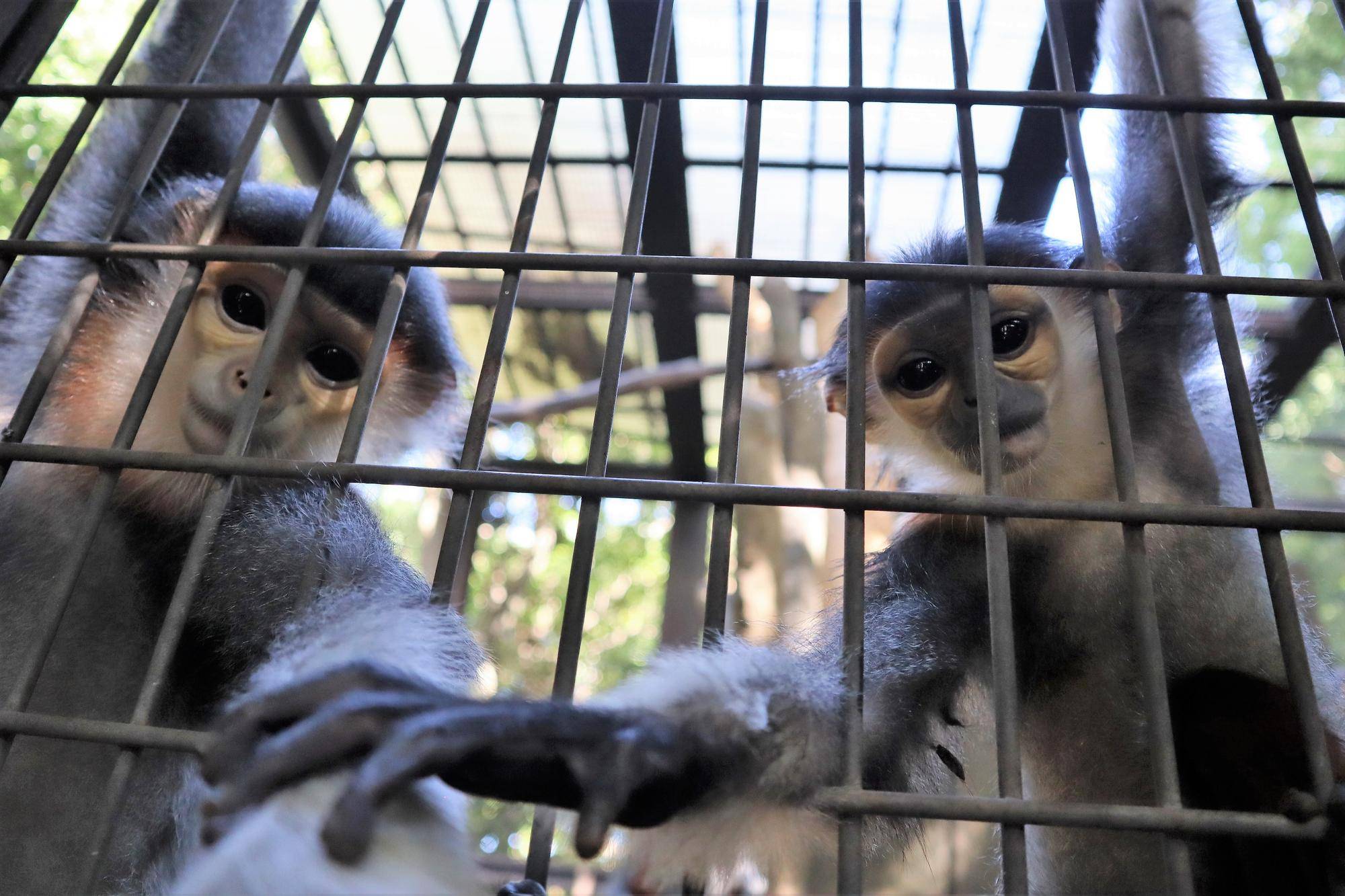 【飼育日誌】20230819:サンありがとう (20).jpg