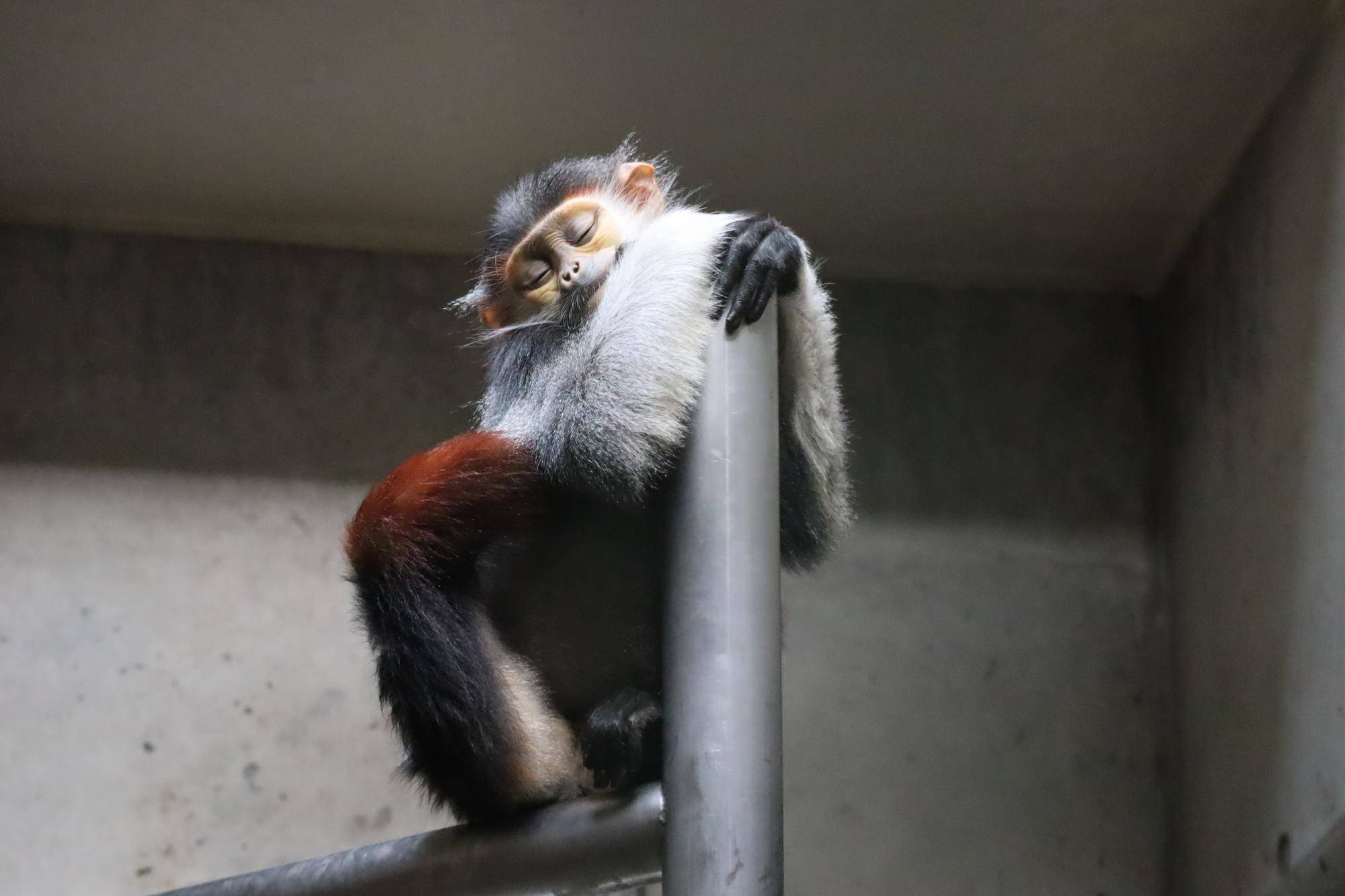 【飼育日誌】20230819:サンありがとう (32).jpg