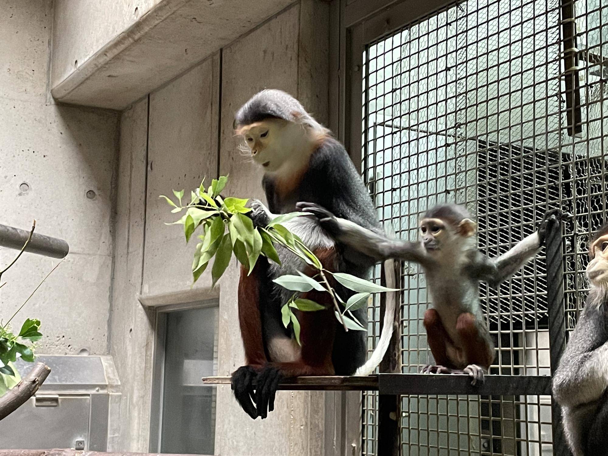 【飼育日誌】20230819:サンありがとう (2).jpg