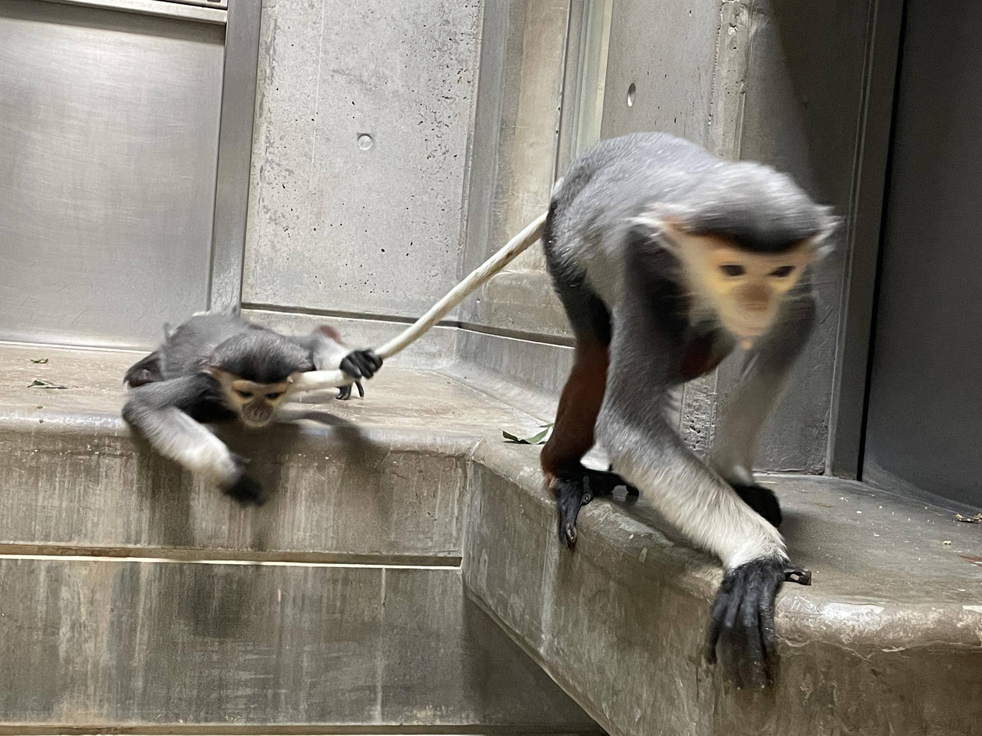 【飼育日誌】20230819:サンありがとう (17).jpg